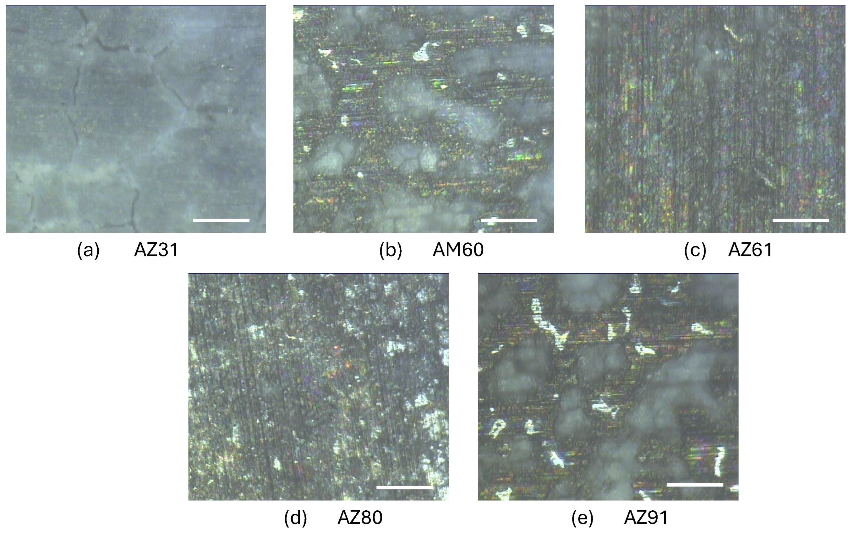 Preprints 190767 g006