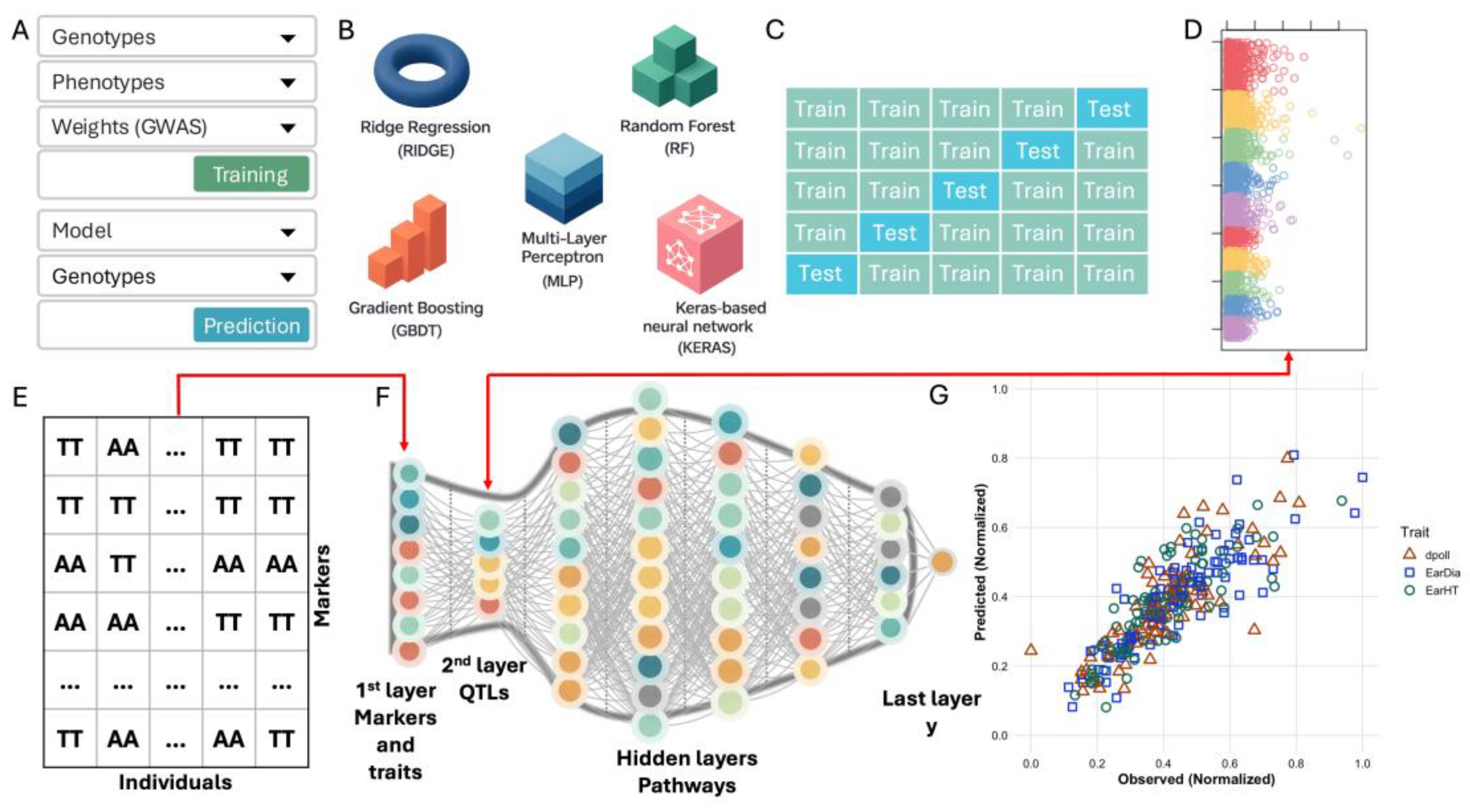 AI4EVER: A Graphical Deep Learning Platform For GWAS-Informed Genomic ...