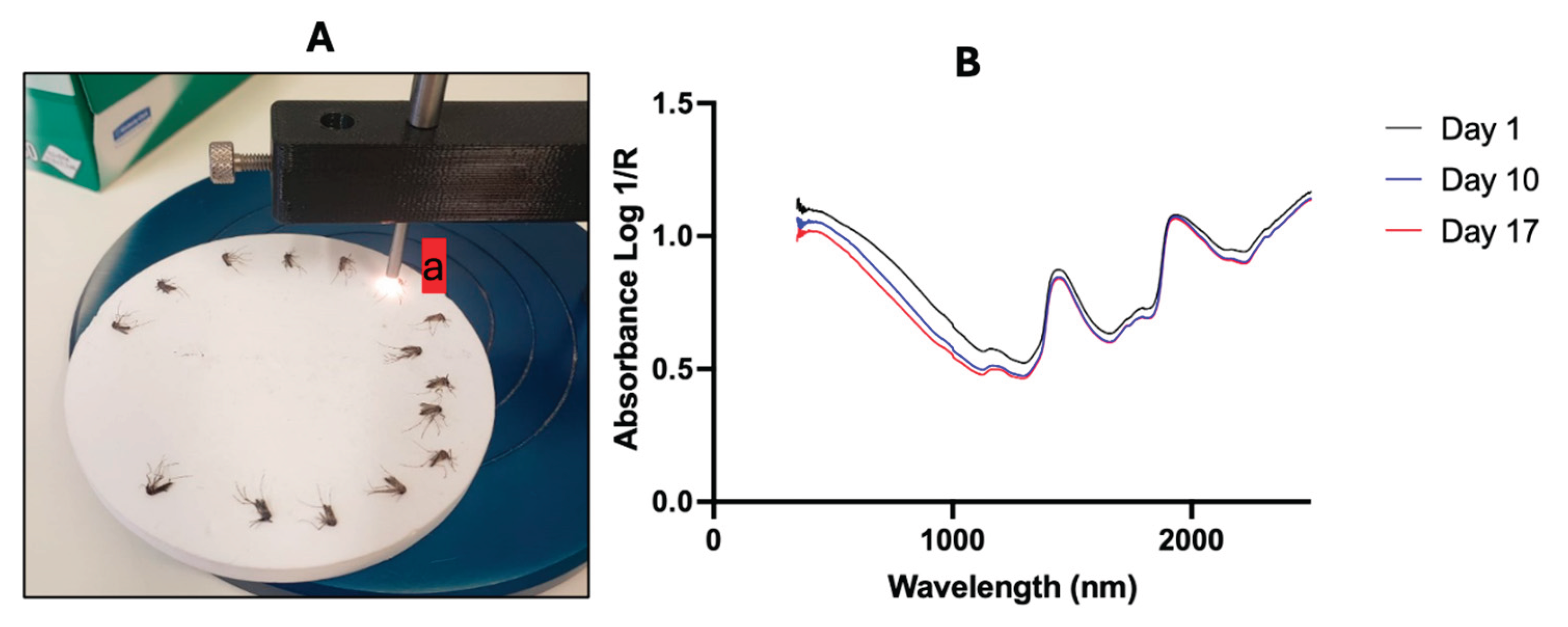 Preprints 173170 g001
