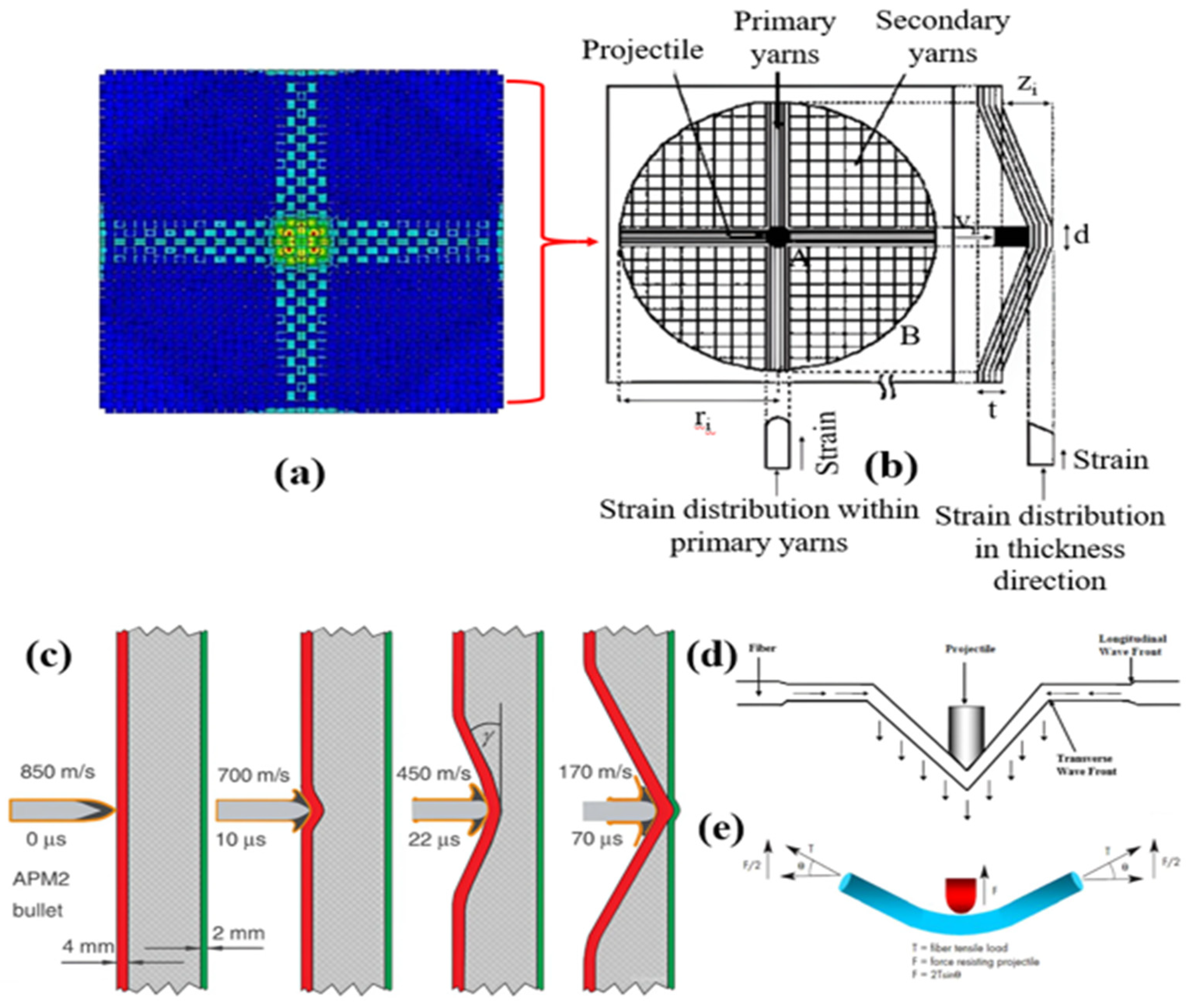 Preprints 197471 g006
