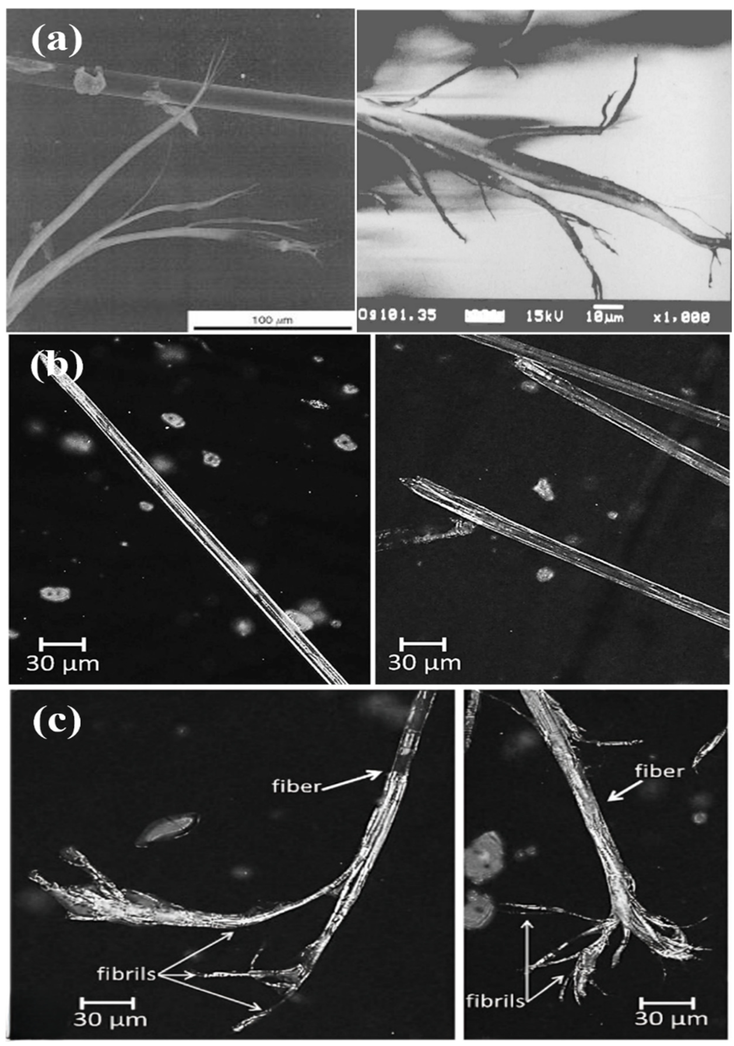 Preprints 197471 g029