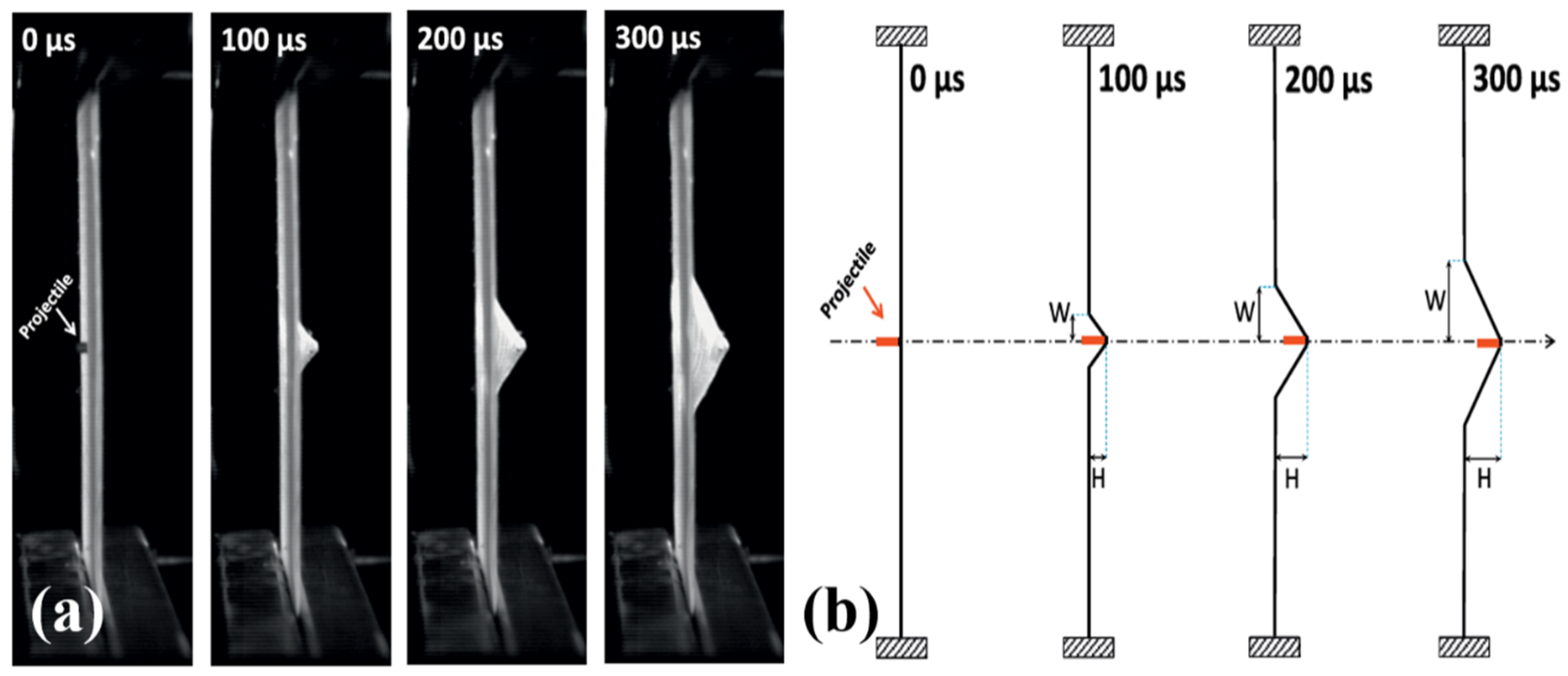 Preprints 197471 g031