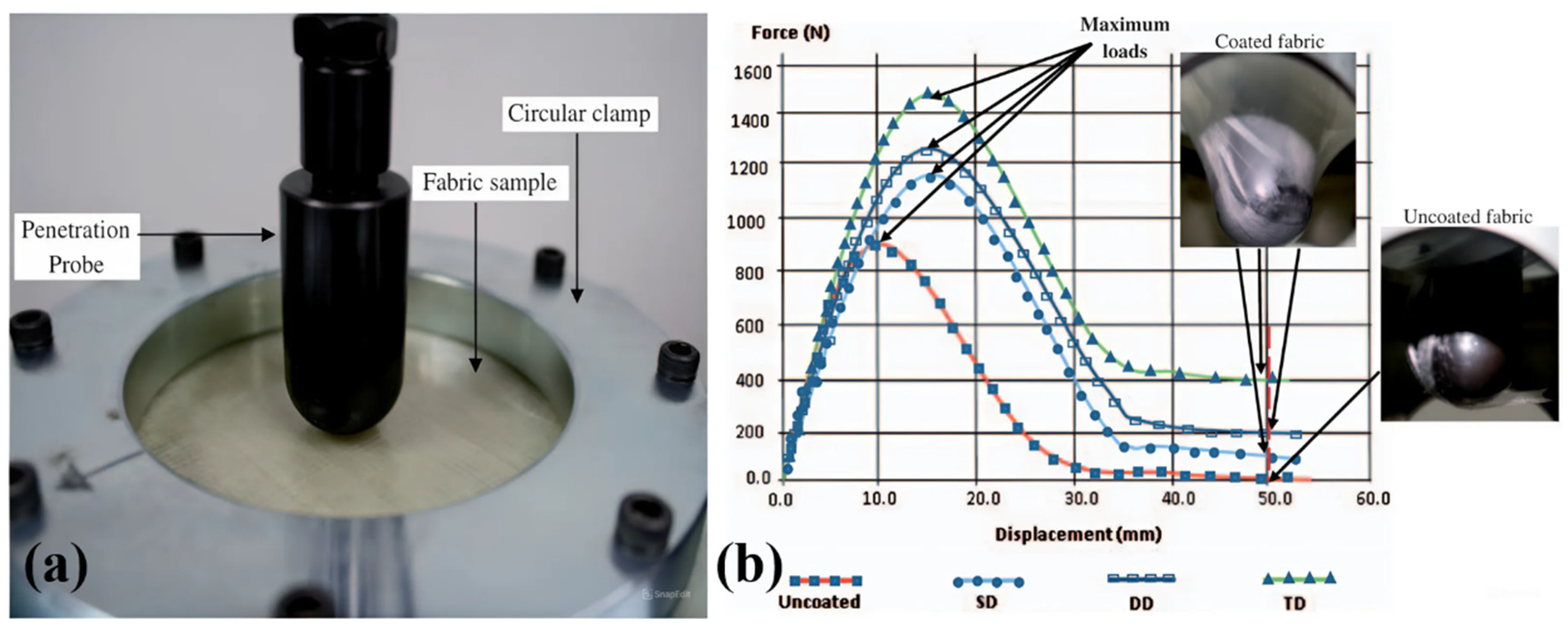 Preprints 197471 g033
