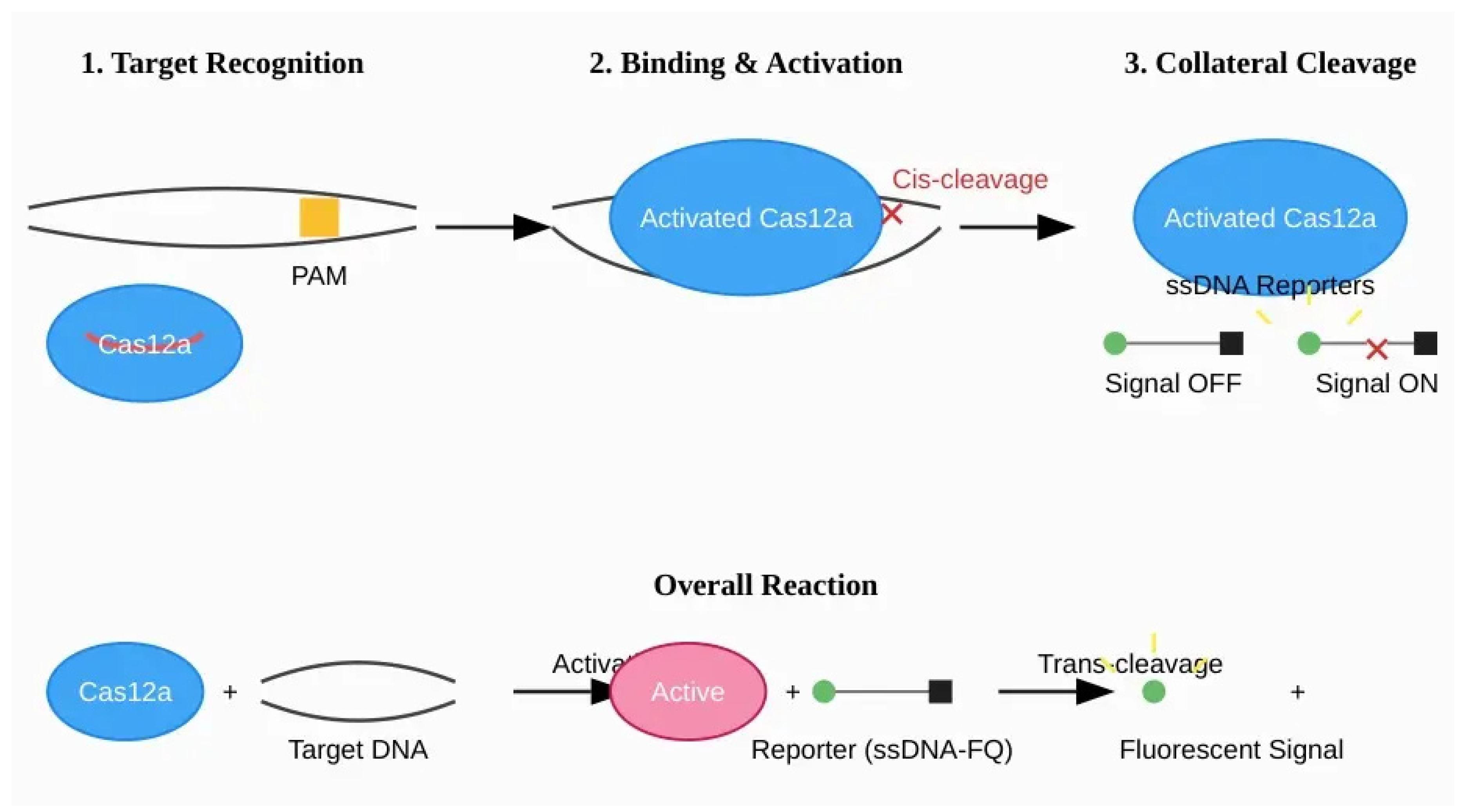 Preprints 177562 g002