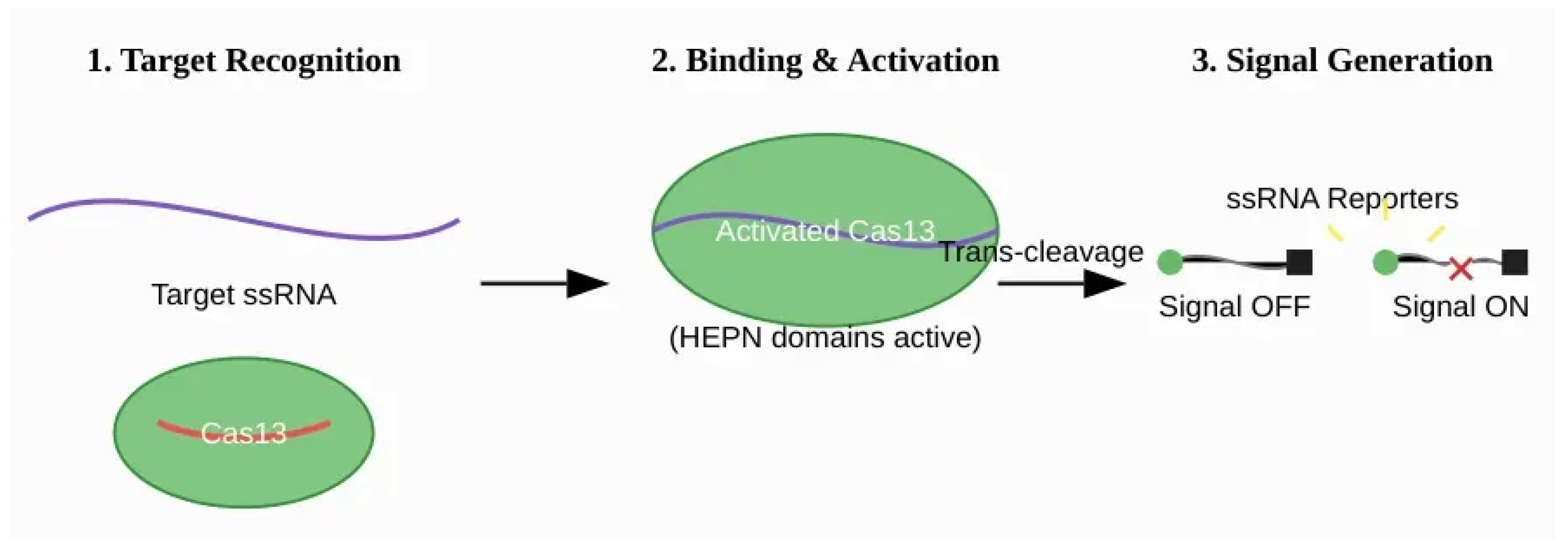 Preprints 177562 g004