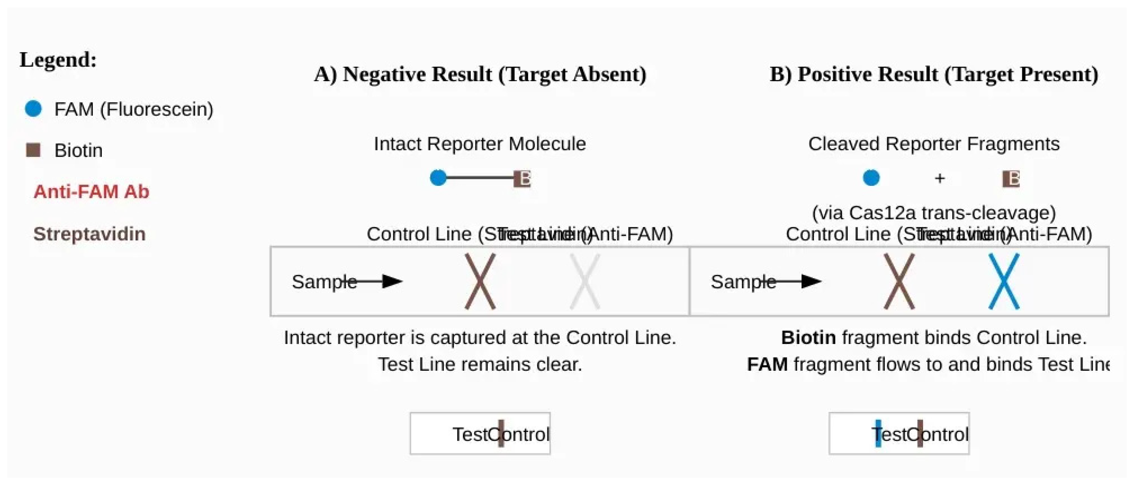 Preprints 177562 g005