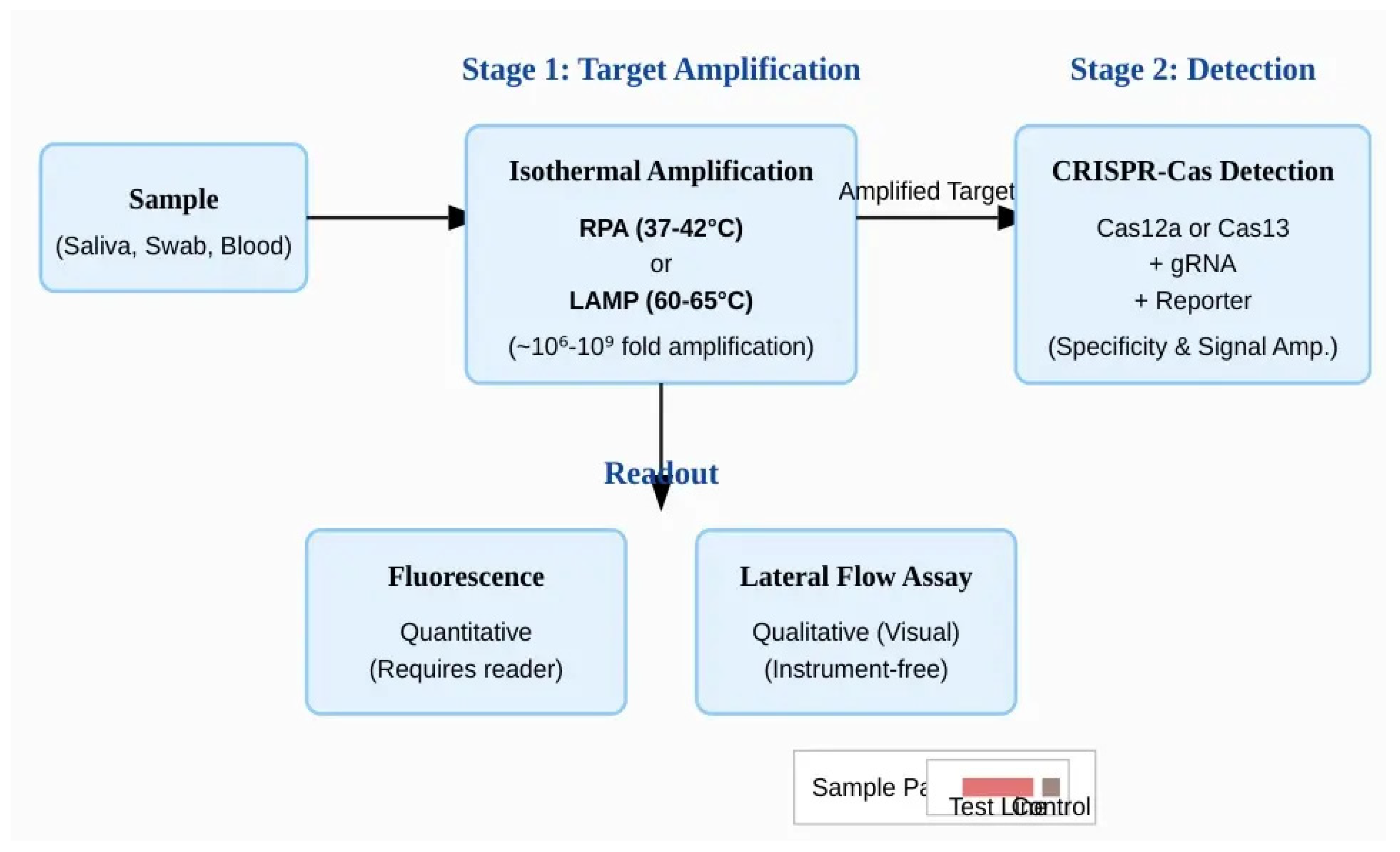 Preprints 177562 g006