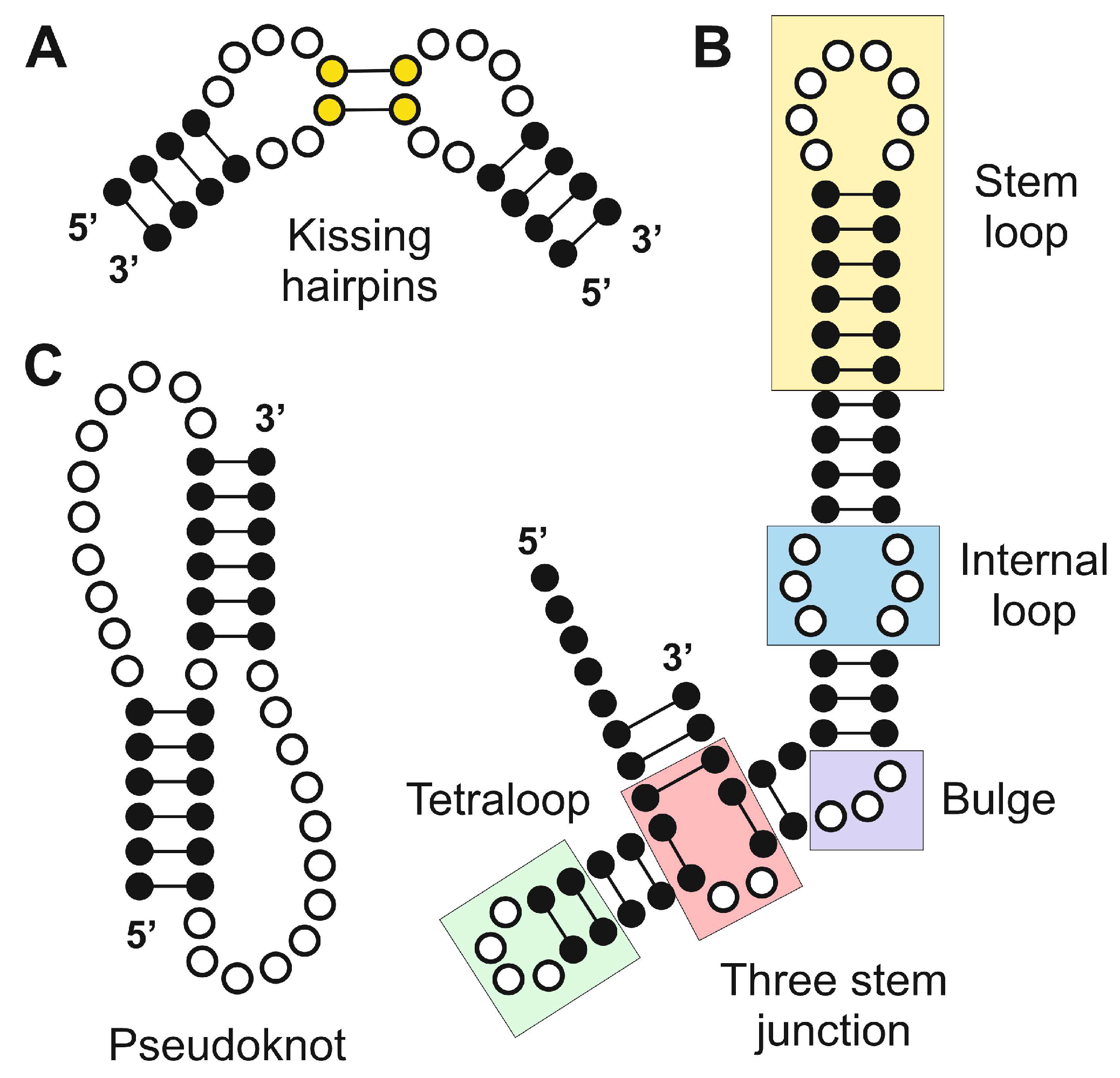 Preprints 146126 g002