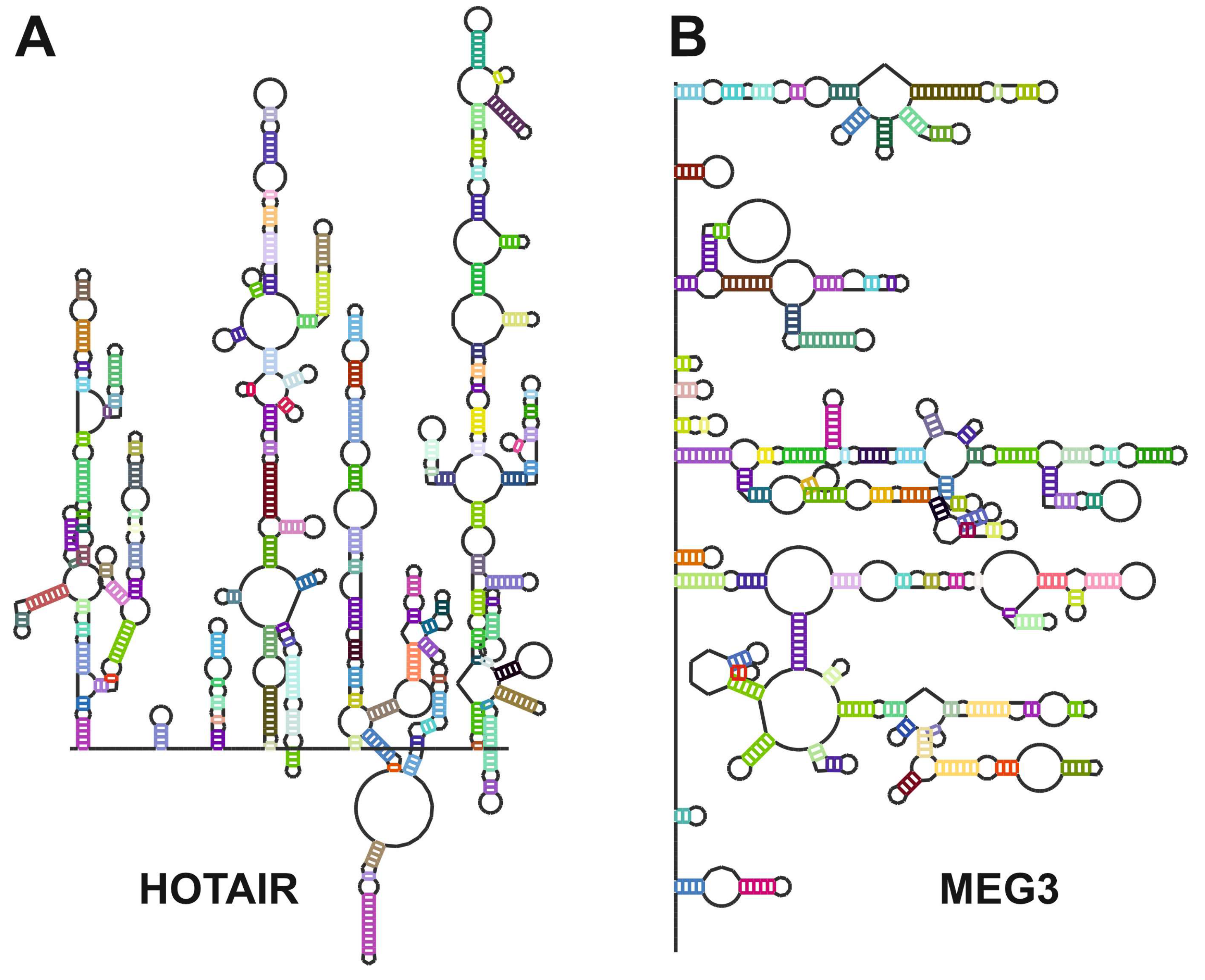 Preprints 146126 g006