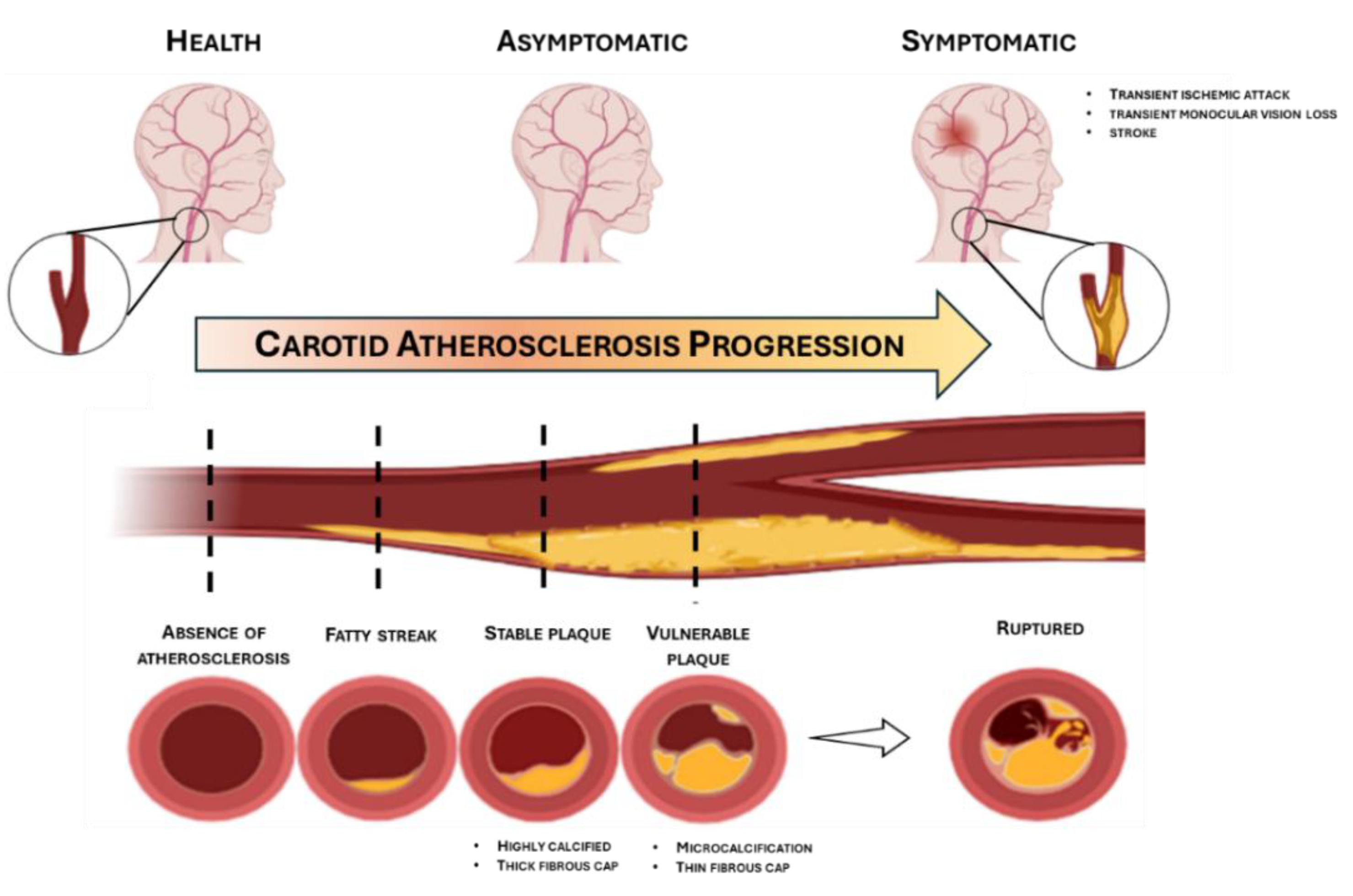 Preprints 192004 g001