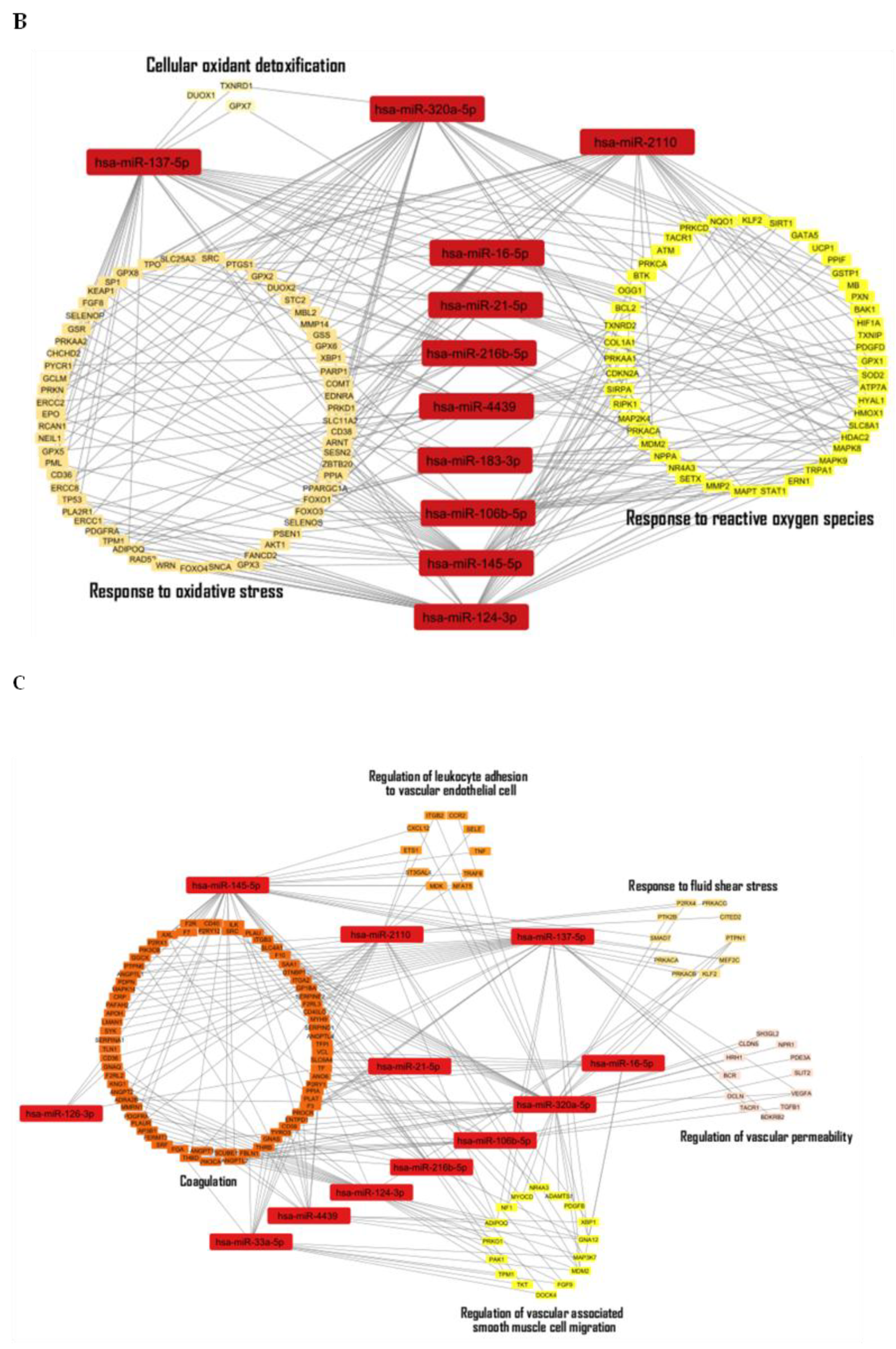 Preprints 192004 g003b