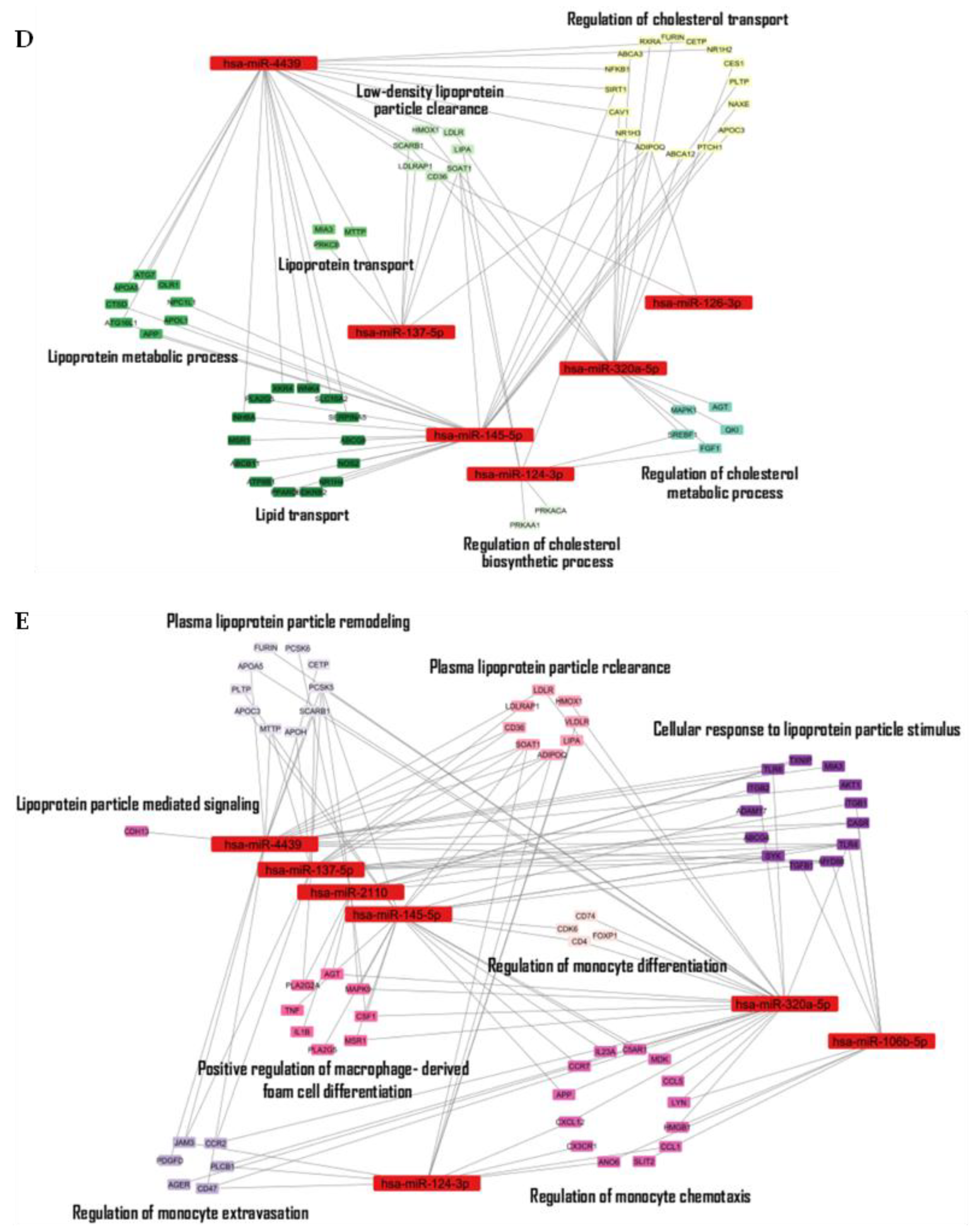 Preprints 192004 g003c