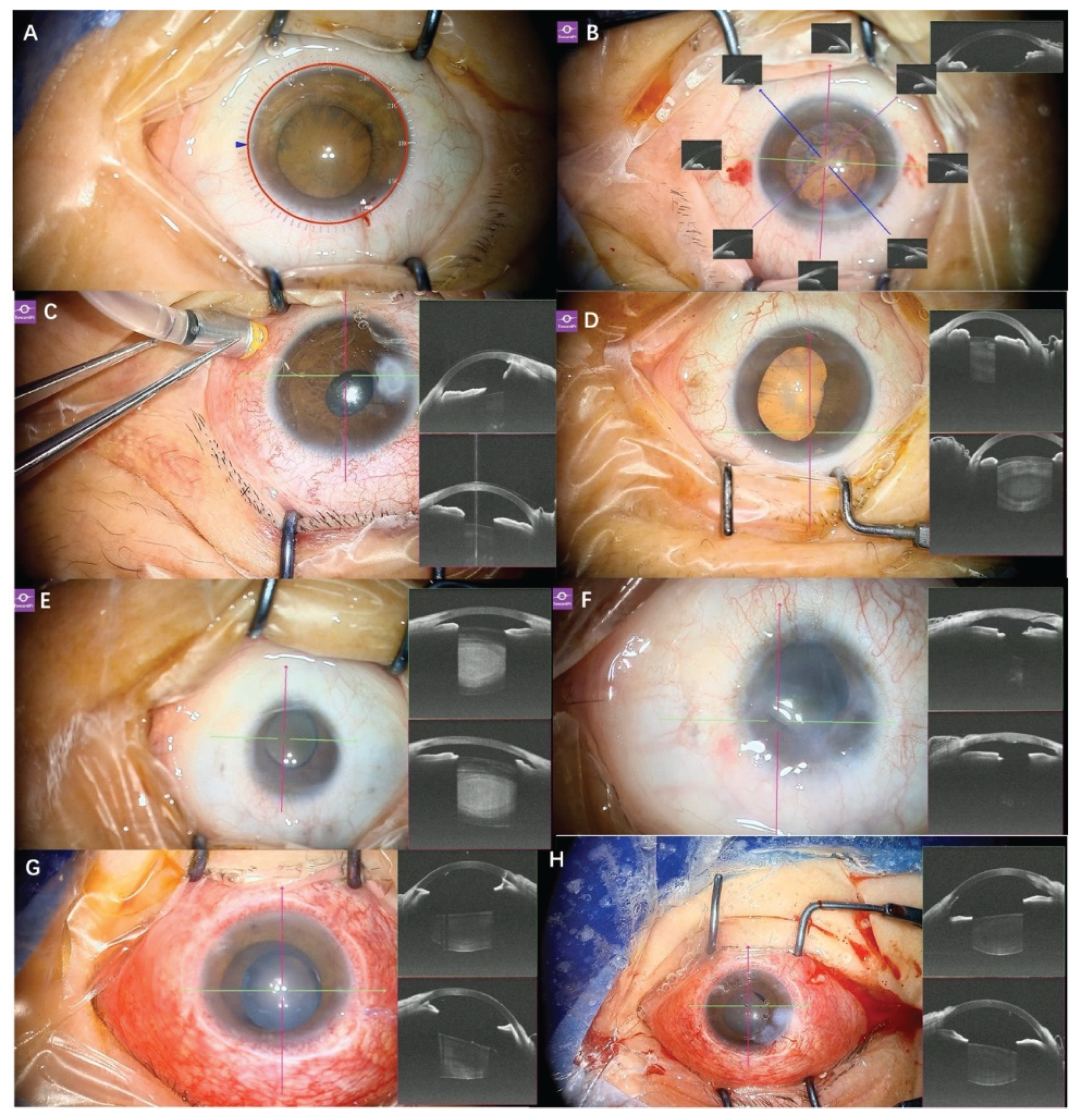 Preprints 208710 g001