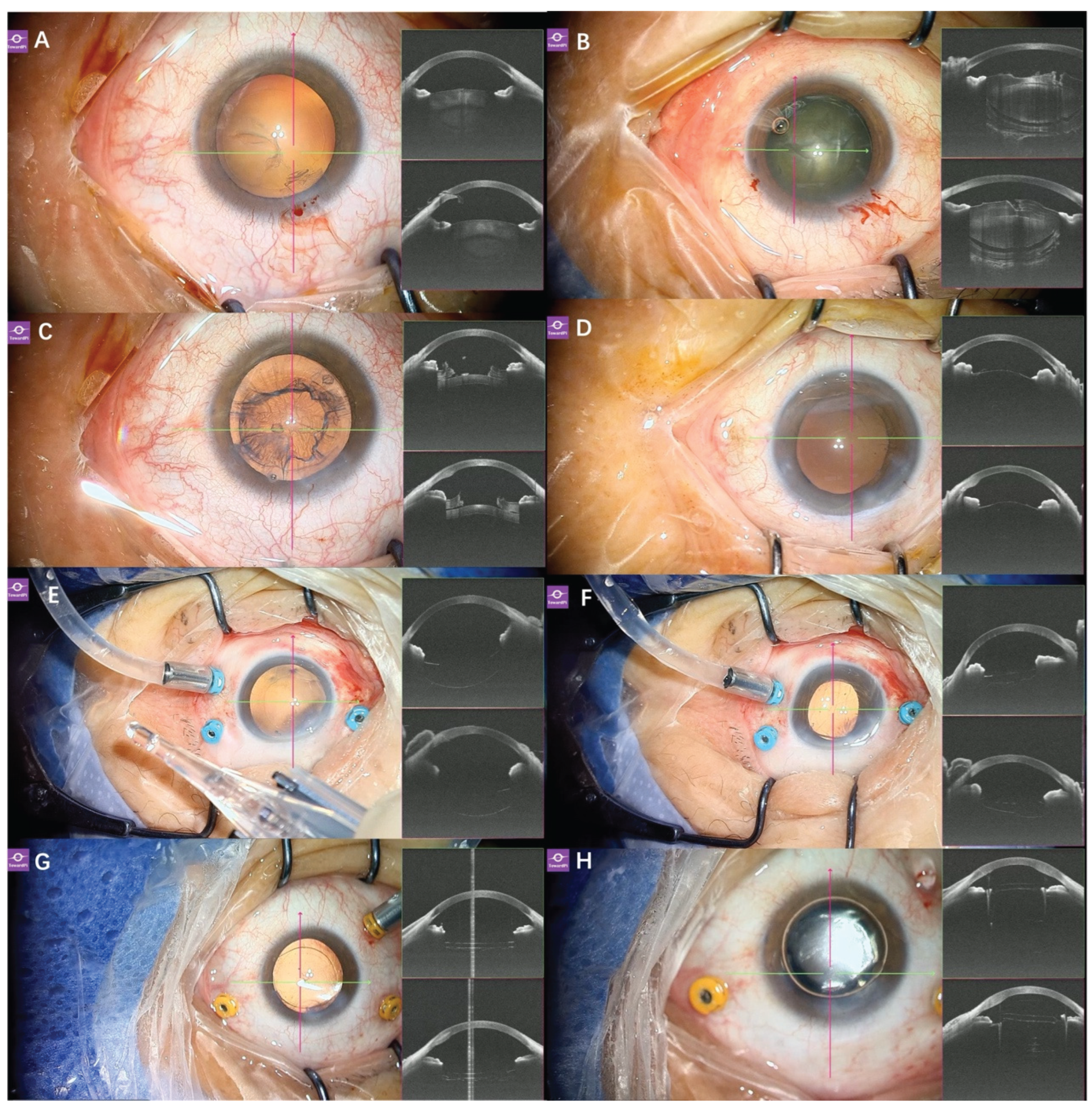 Preprints 208710 g002