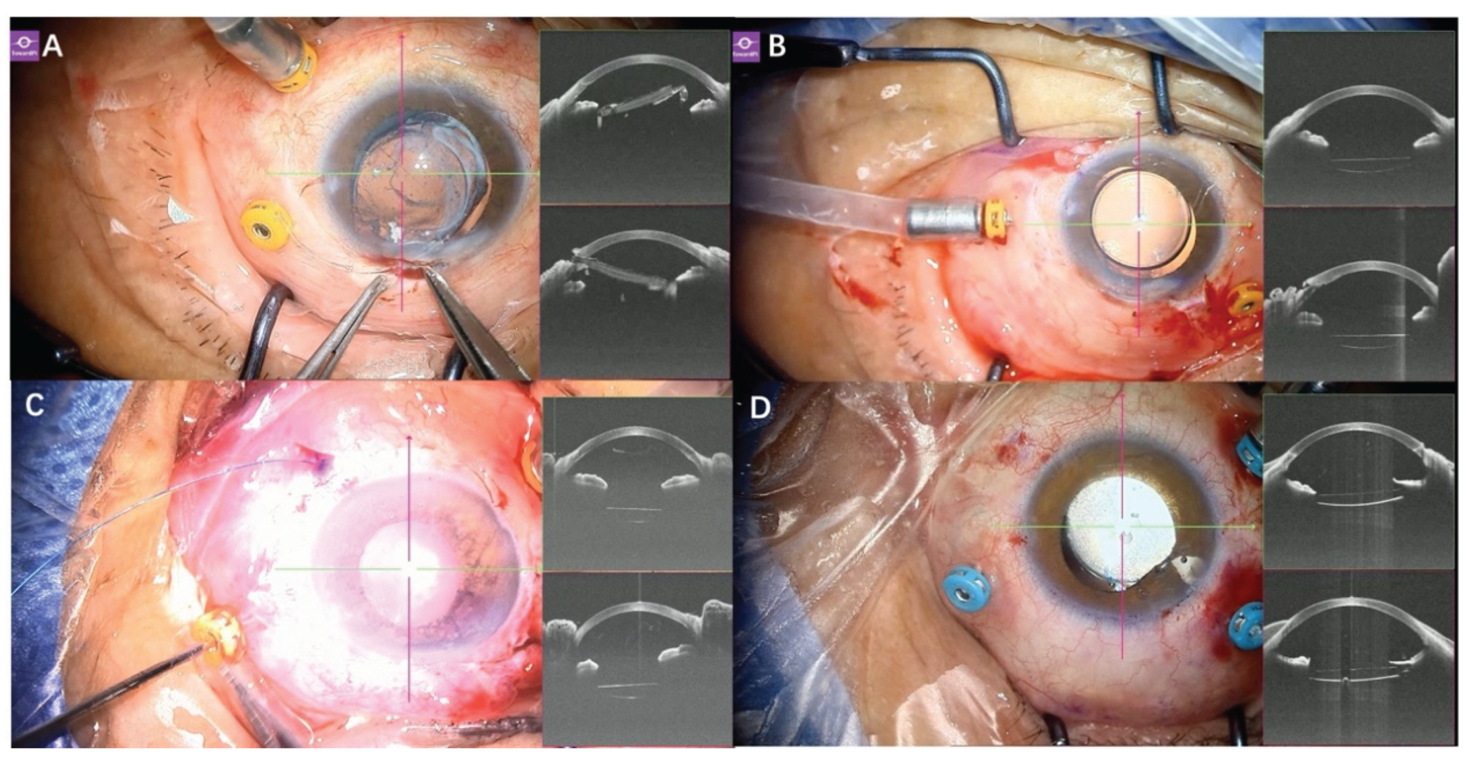 Preprints 208710 g003