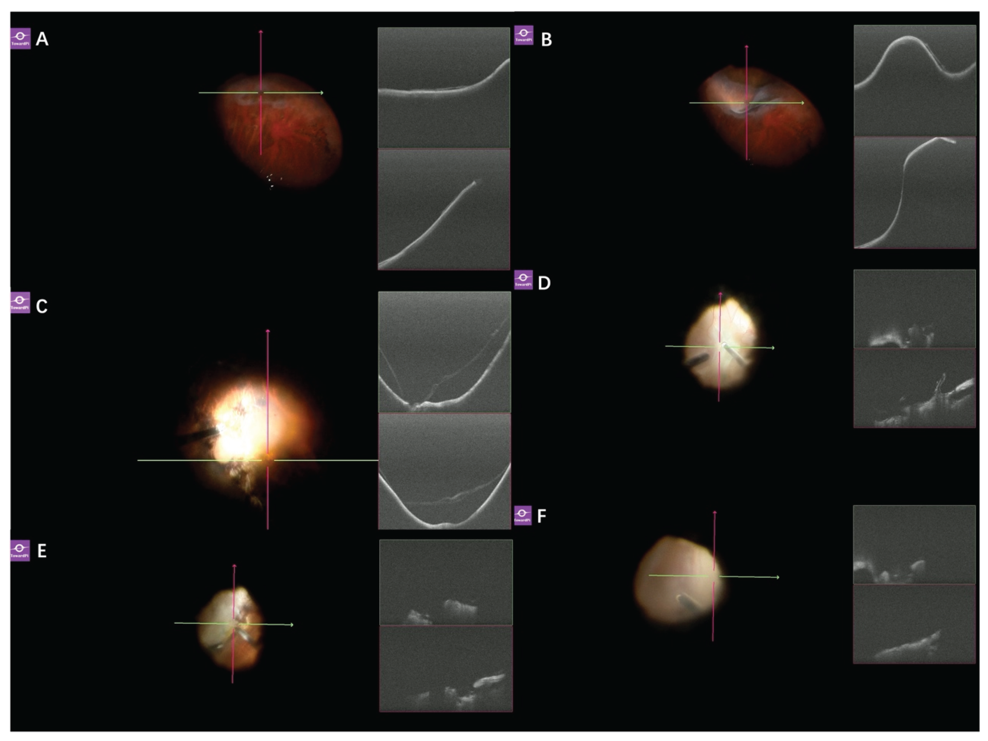 Preprints 208710 g004