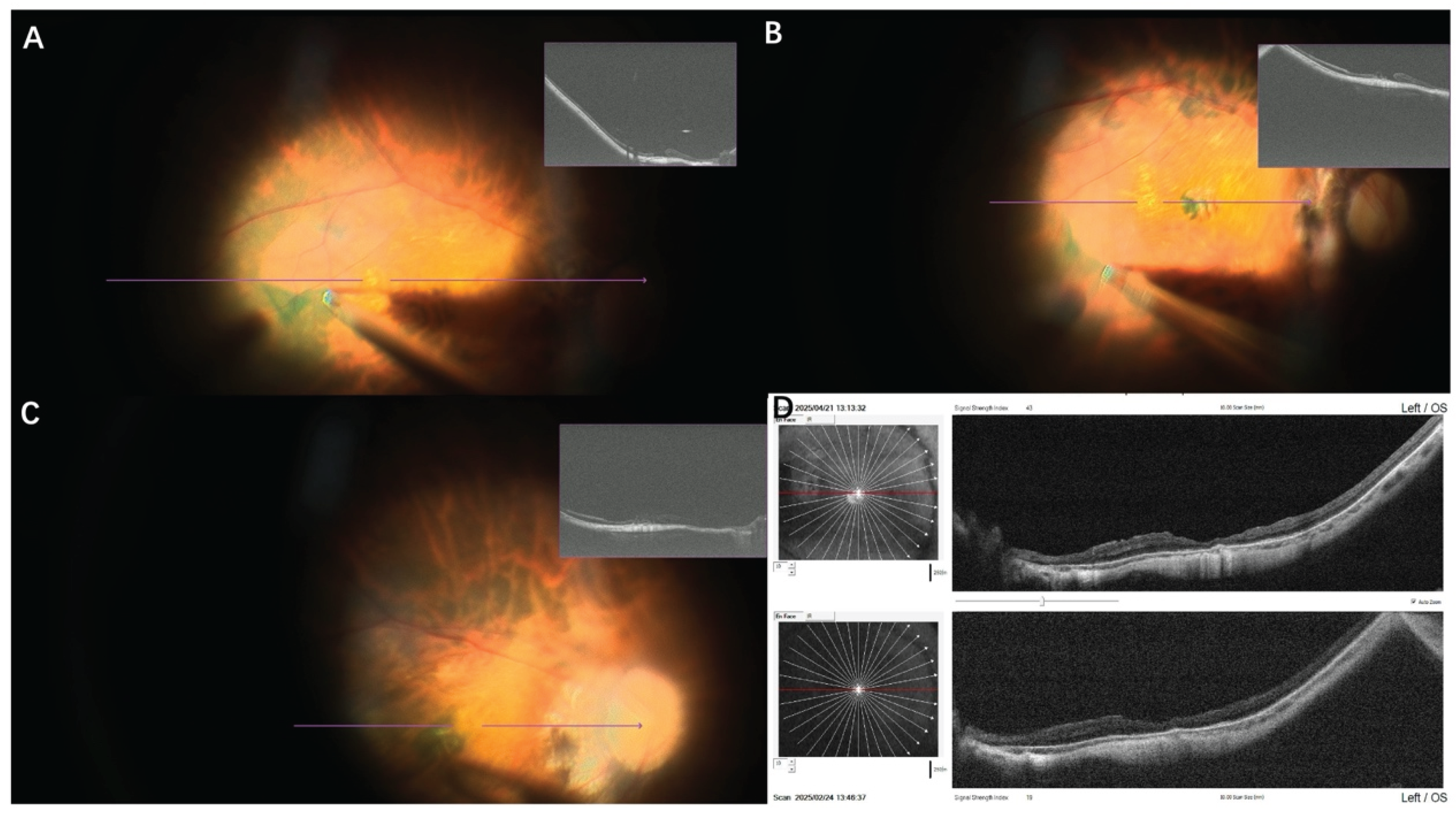 Preprints 208710 g005