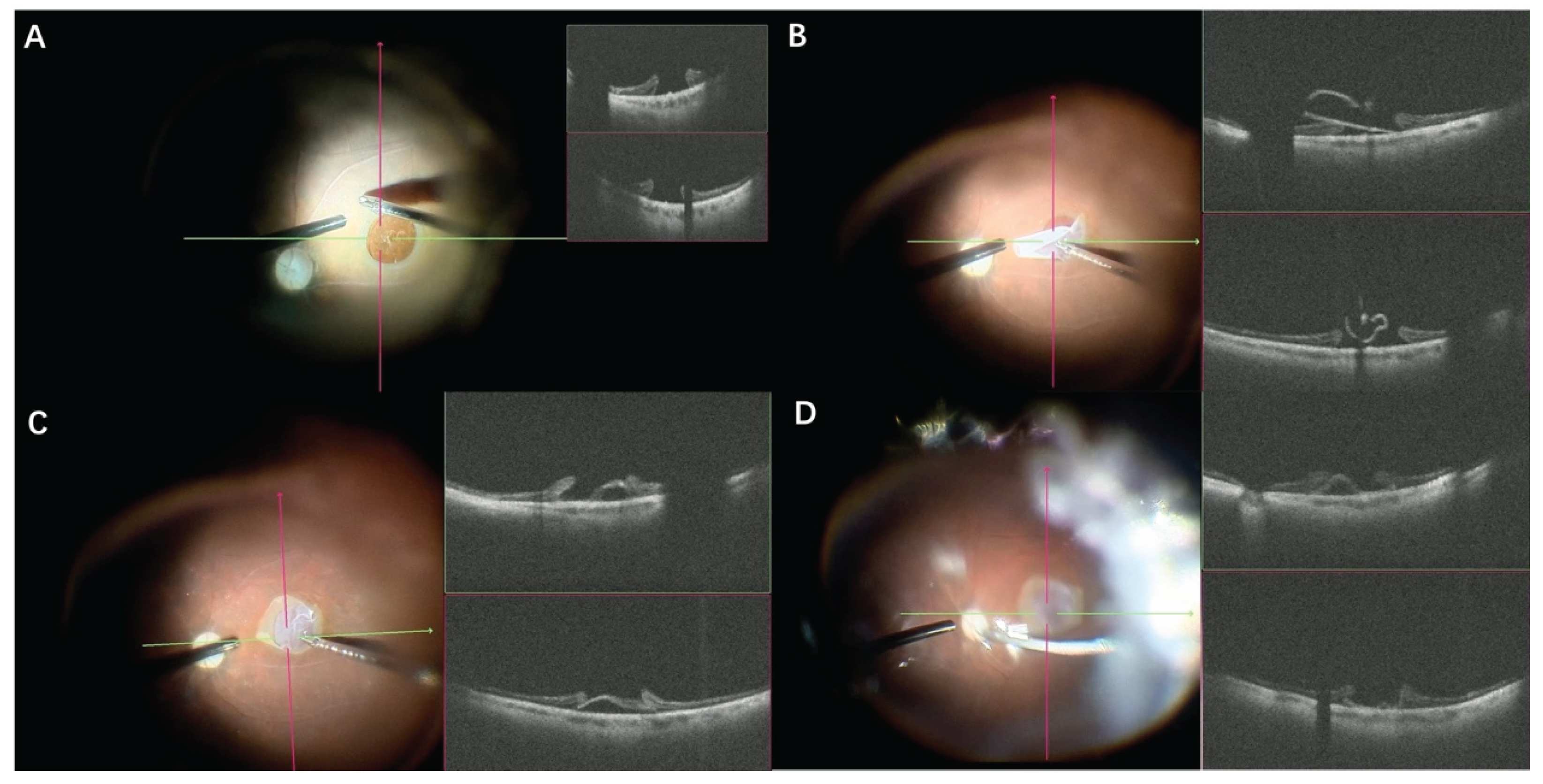 Preprints 208710 g006