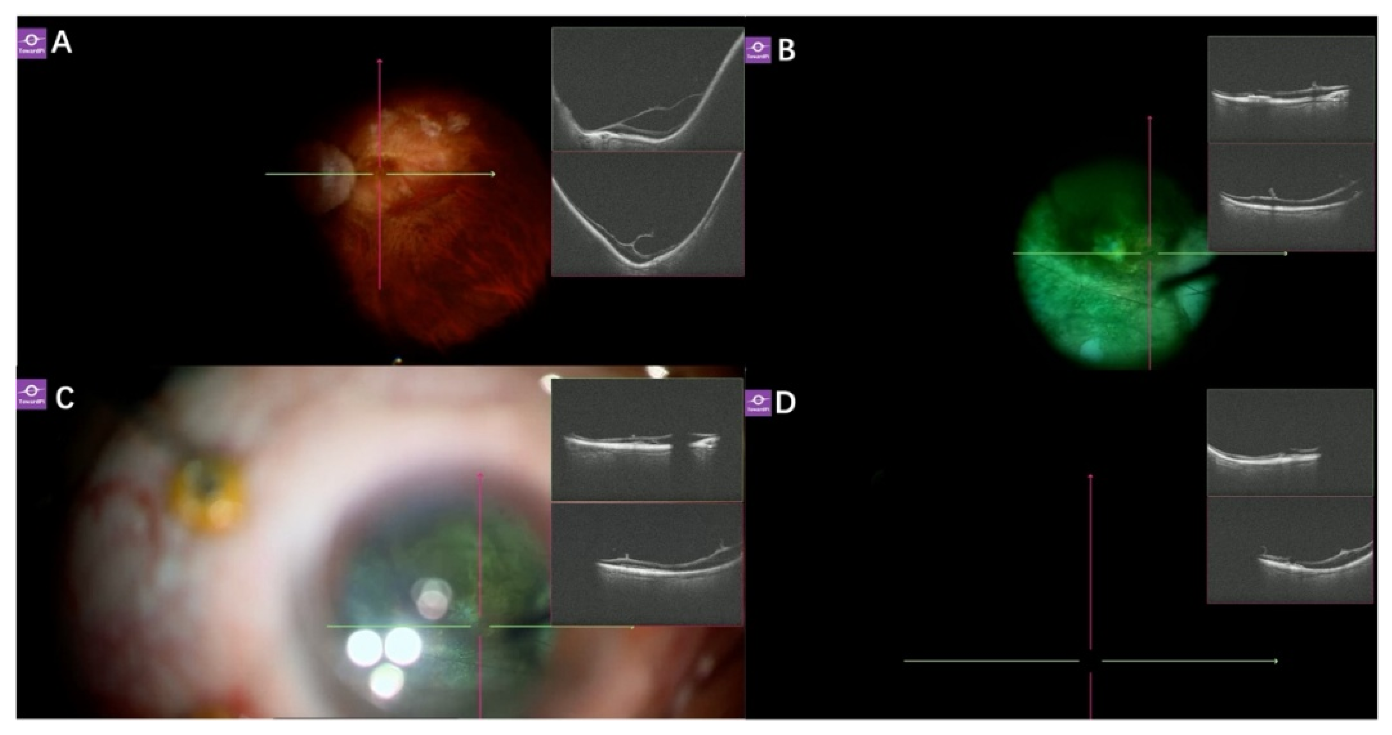 Preprints 208710 g007