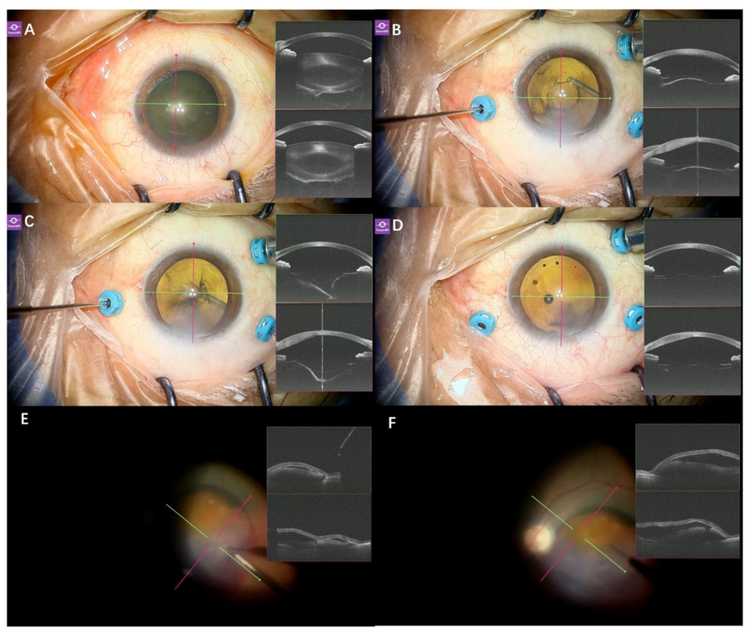 Preprints 208710 g008