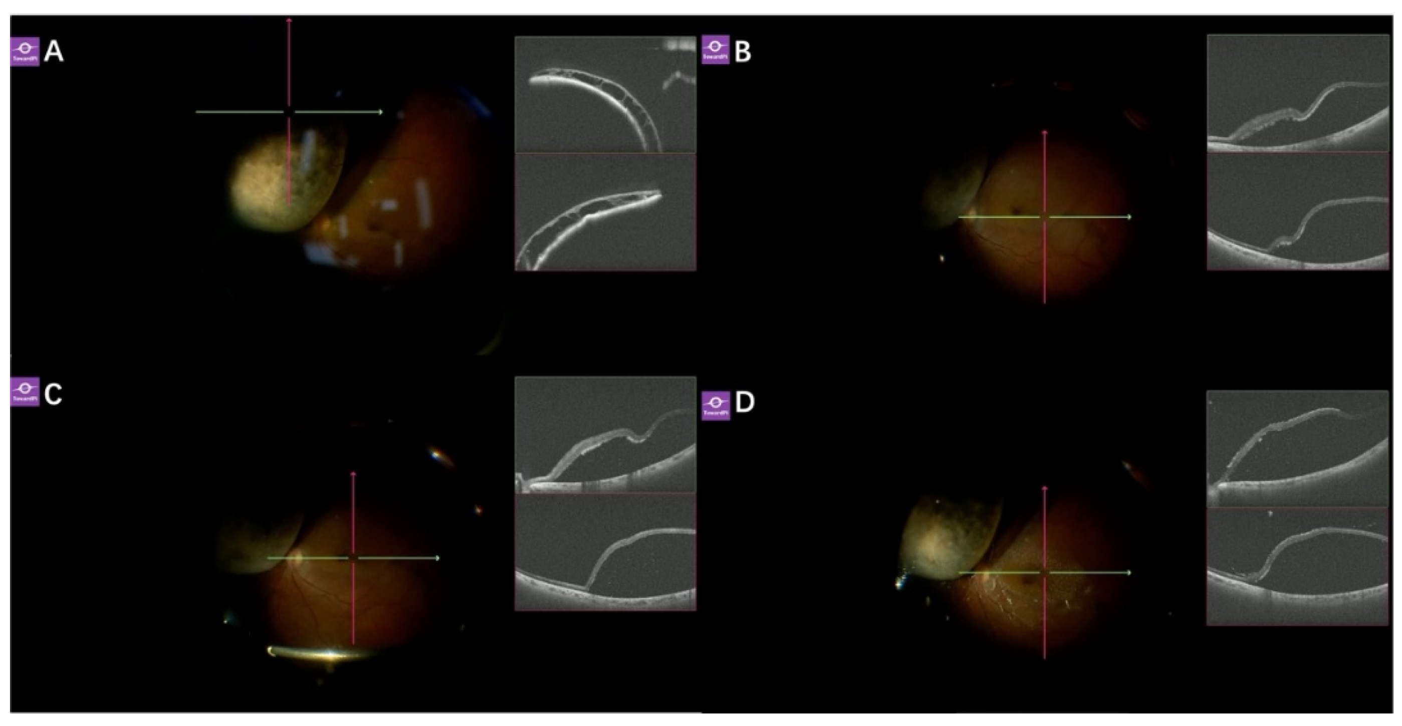 Preprints 208710 g009