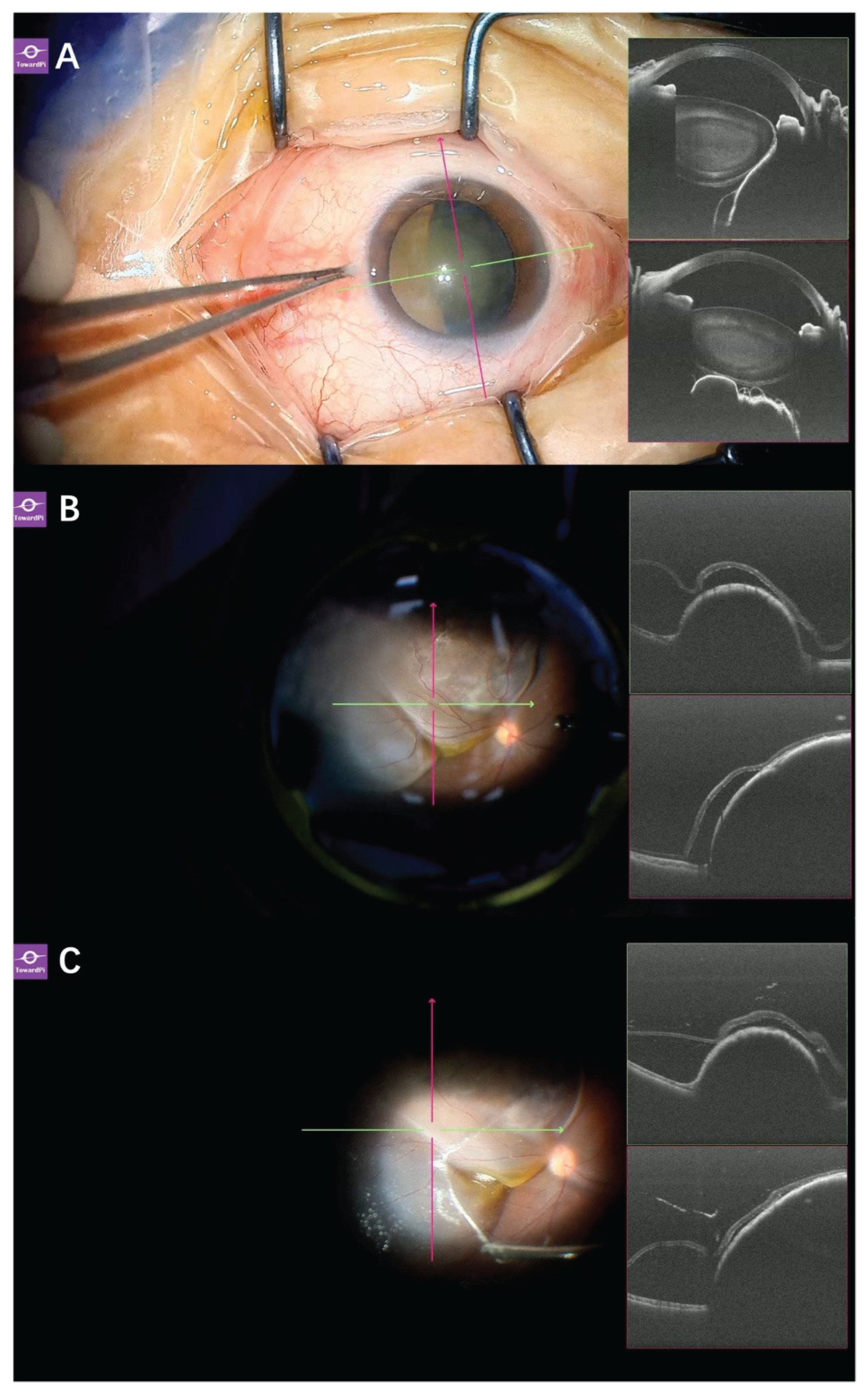 Preprints 208710 g010