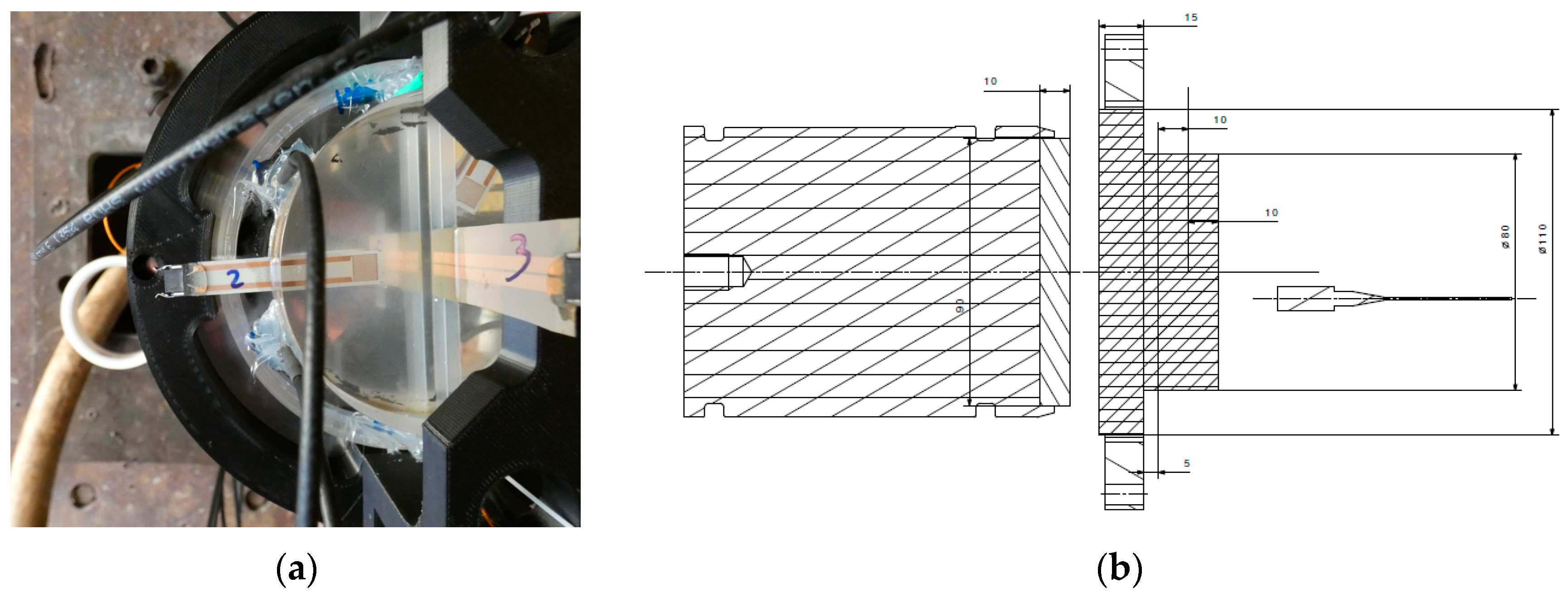 Preprints 76193 g002