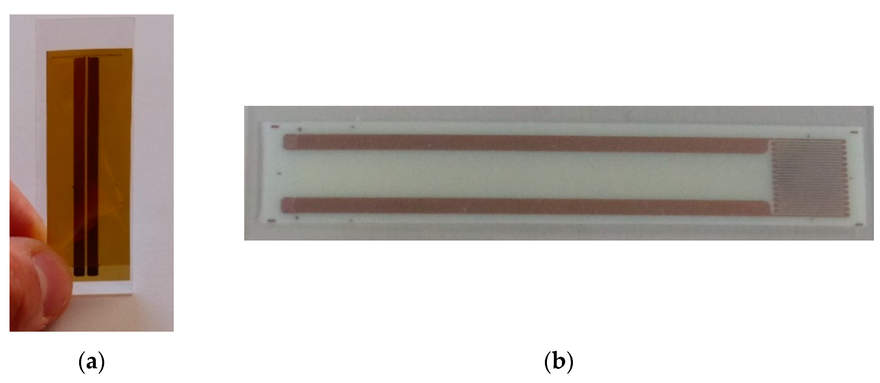 Preprints 76193 g003