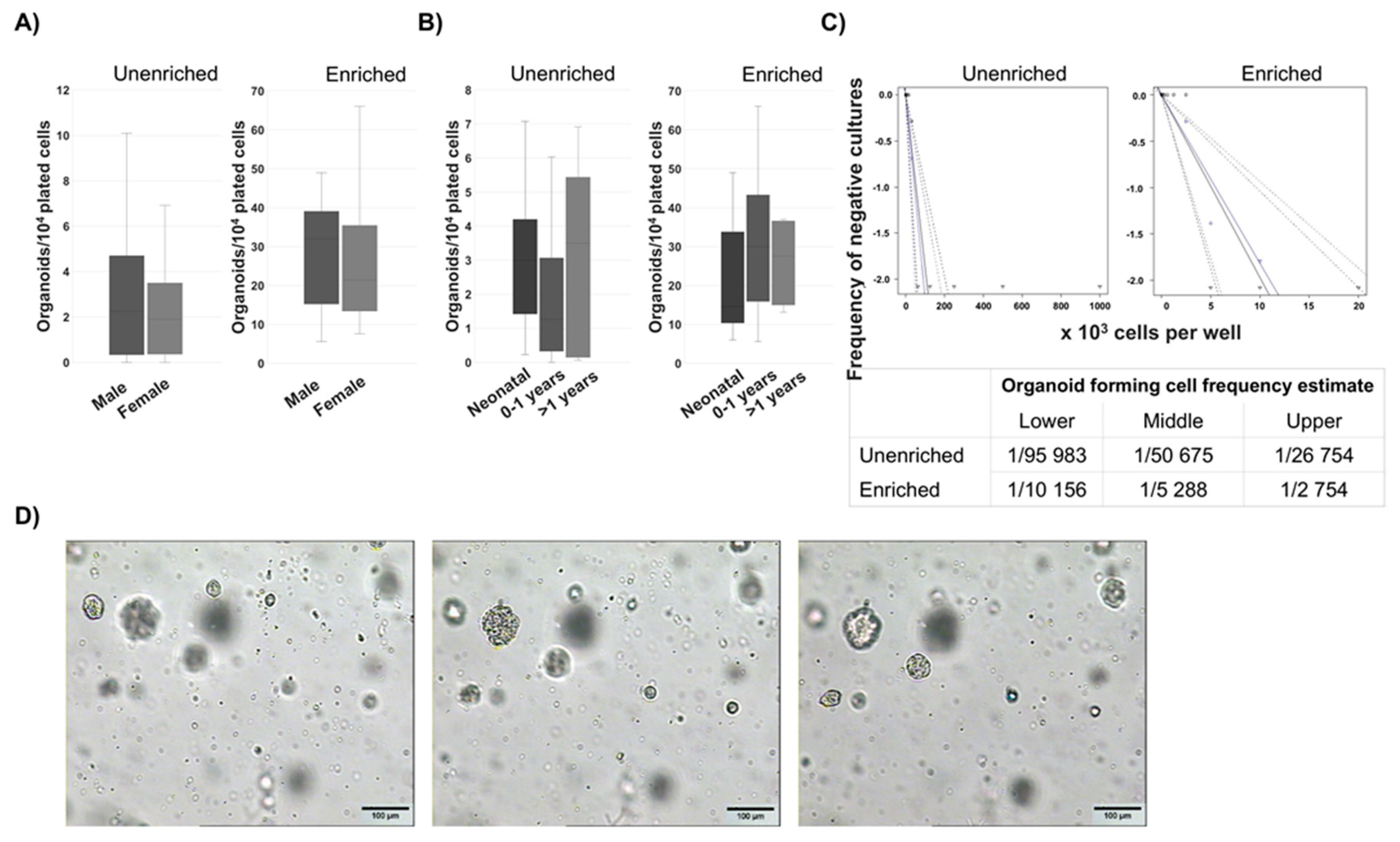 Preprints 153481 g001