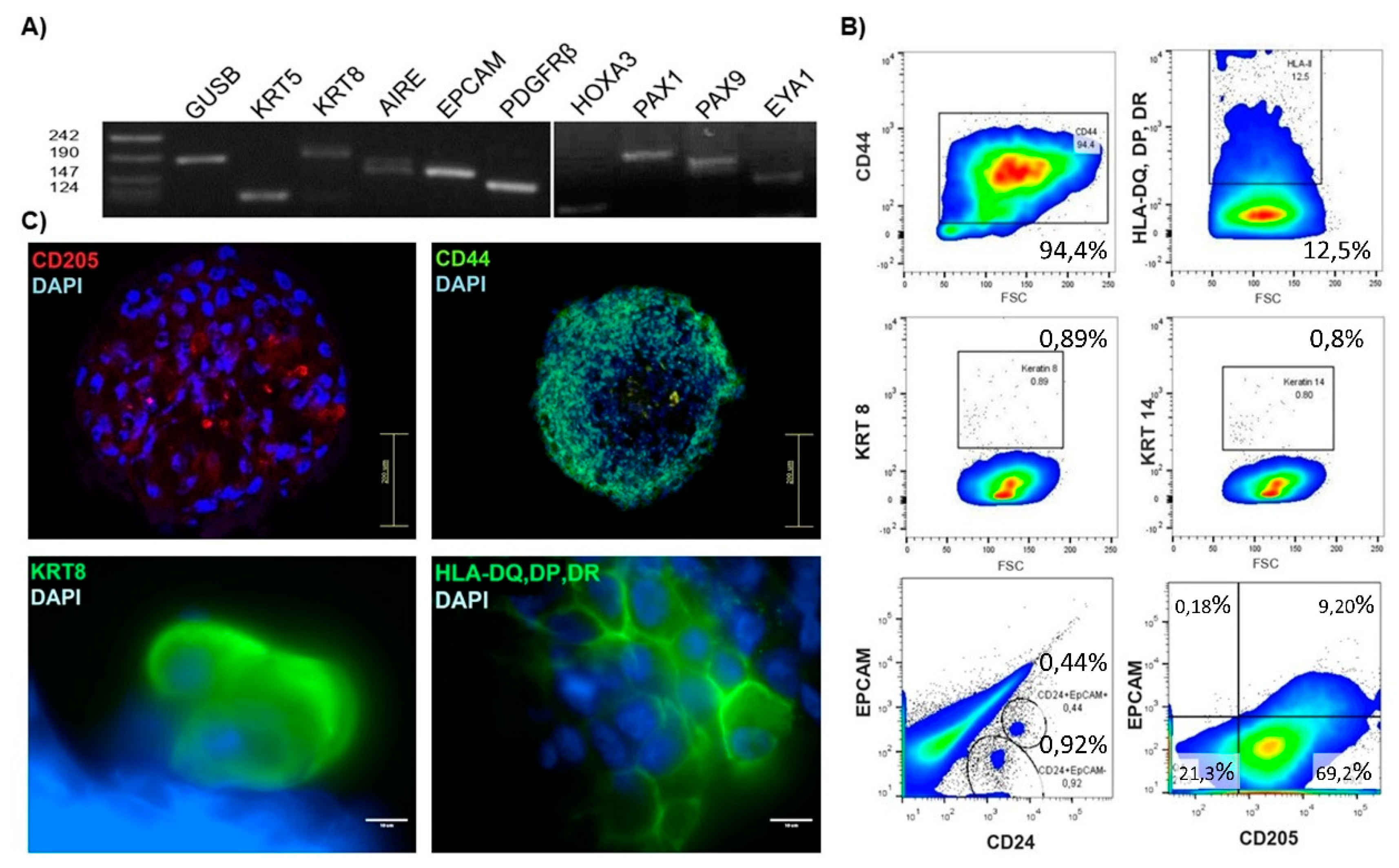 Preprints 153481 g003