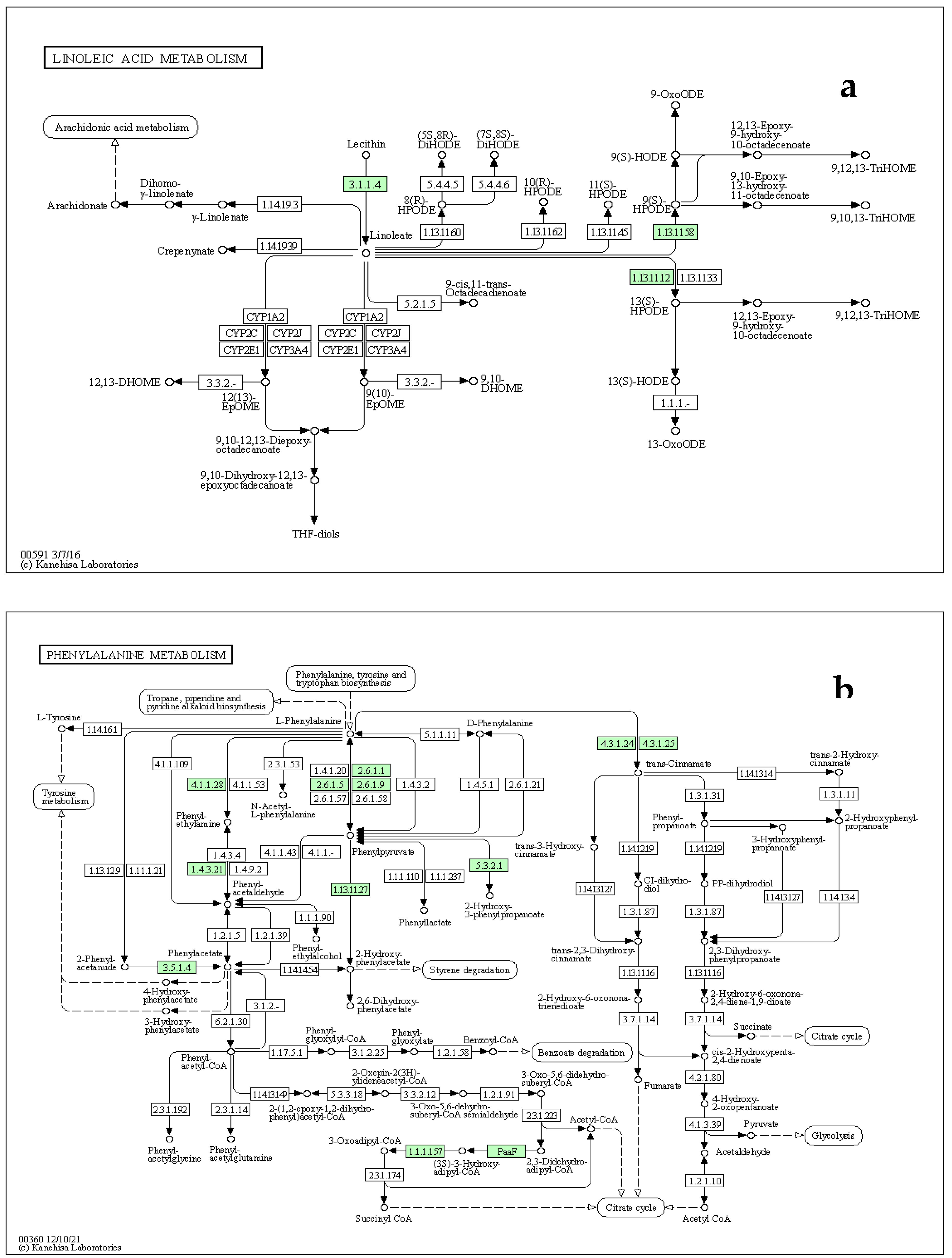 Preprints 69863 g009a