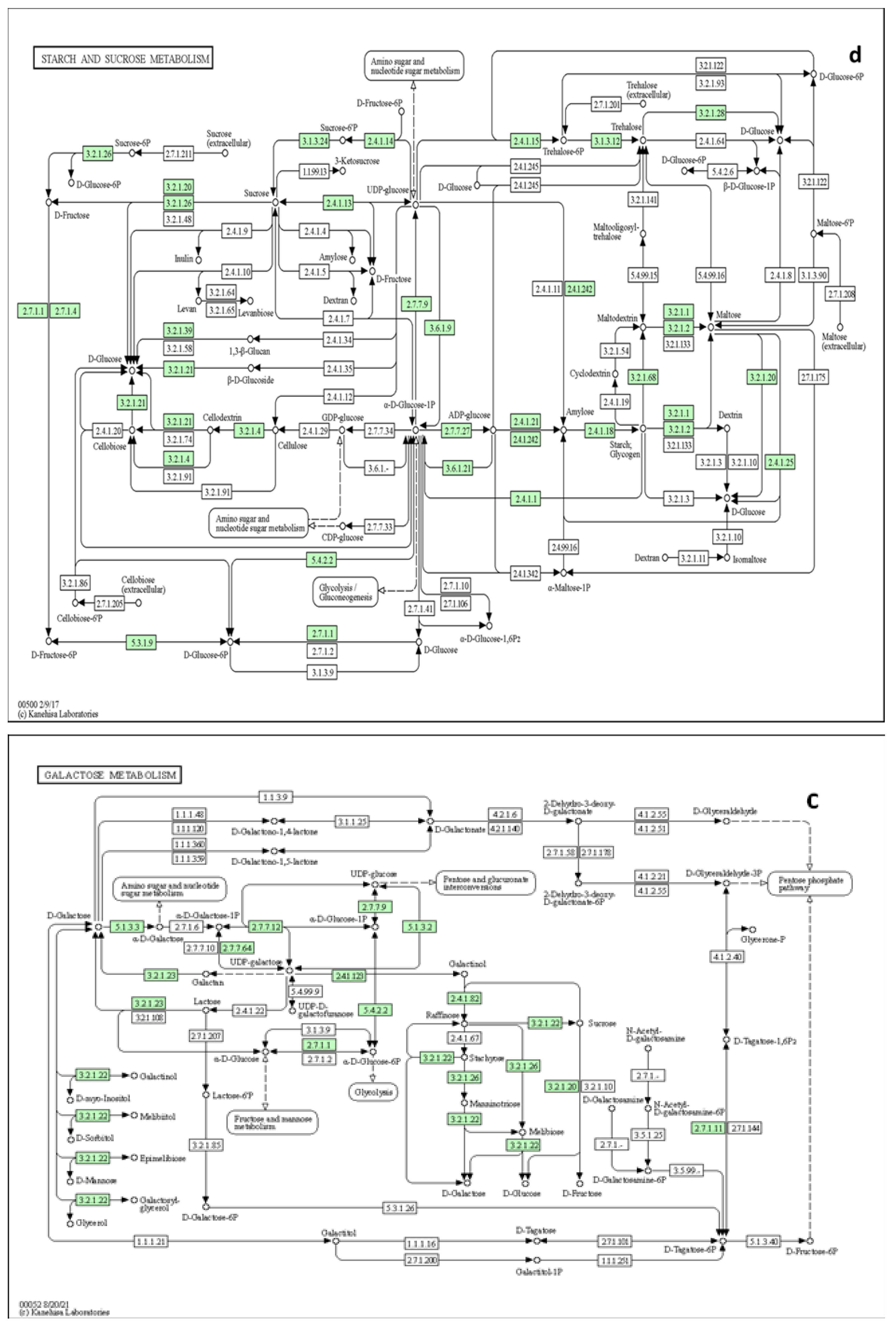 Preprints 69863 g009b