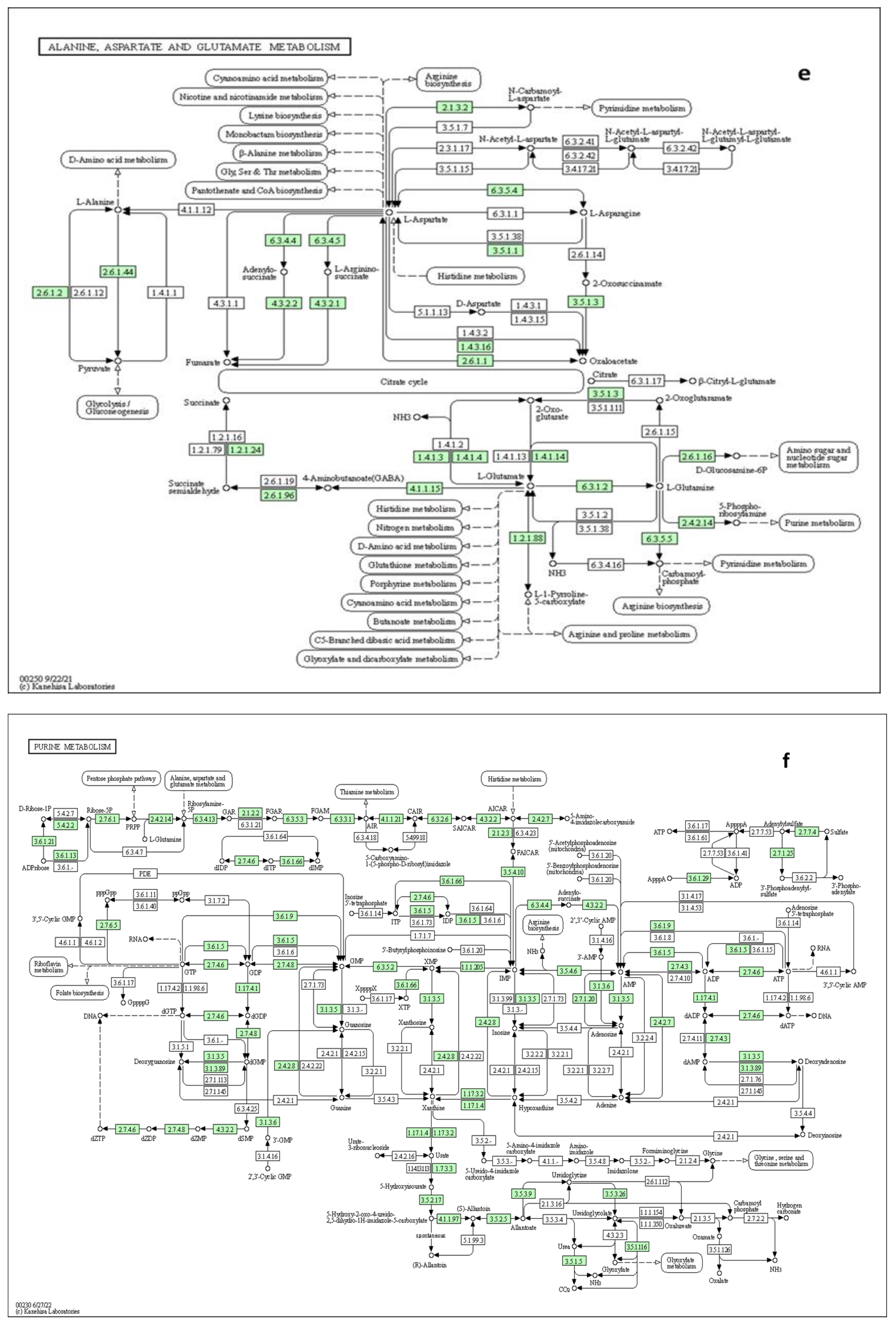 Preprints 69863 g009c