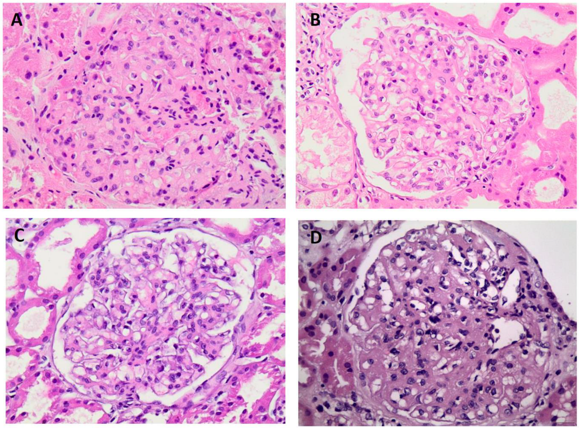 Preprints 156216 g001