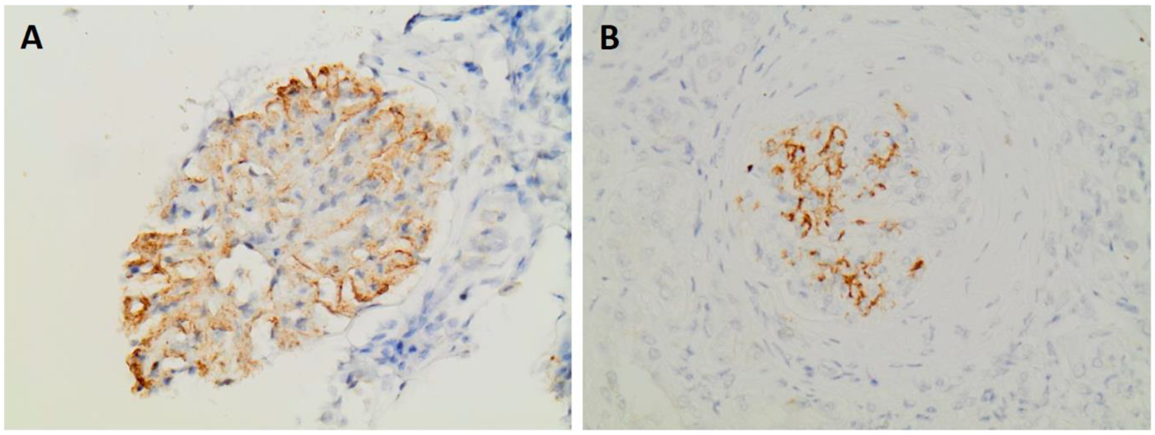 Preprints 156216 g003