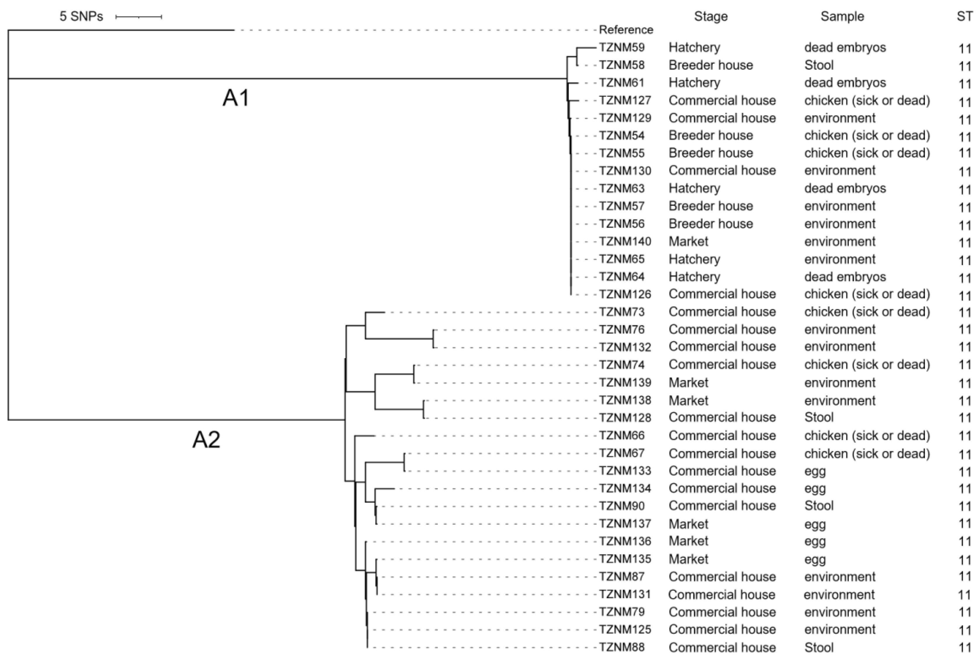 Preprints 219911 g002 Preprints 219911 g002