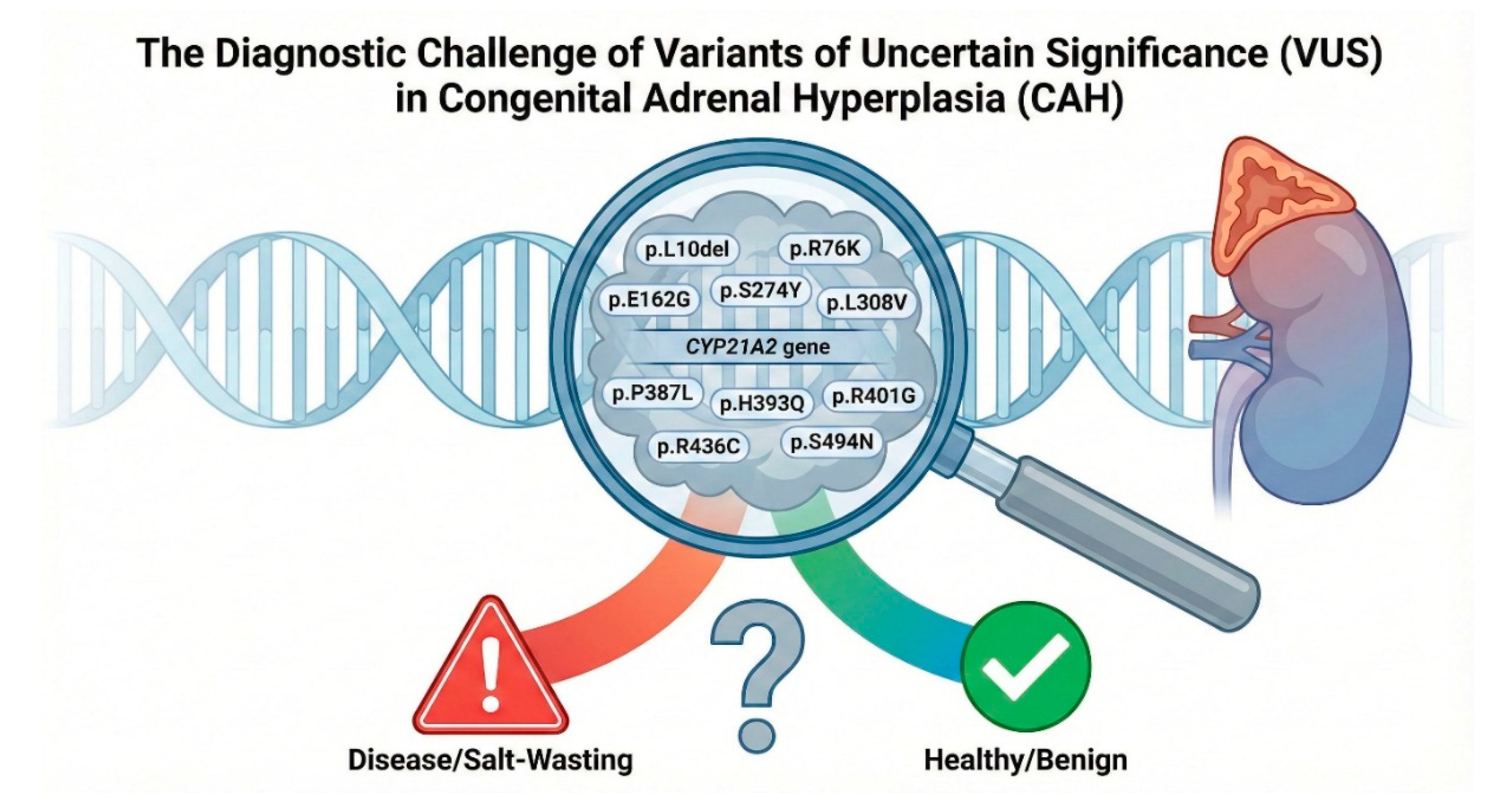 Preprints 193238 g001