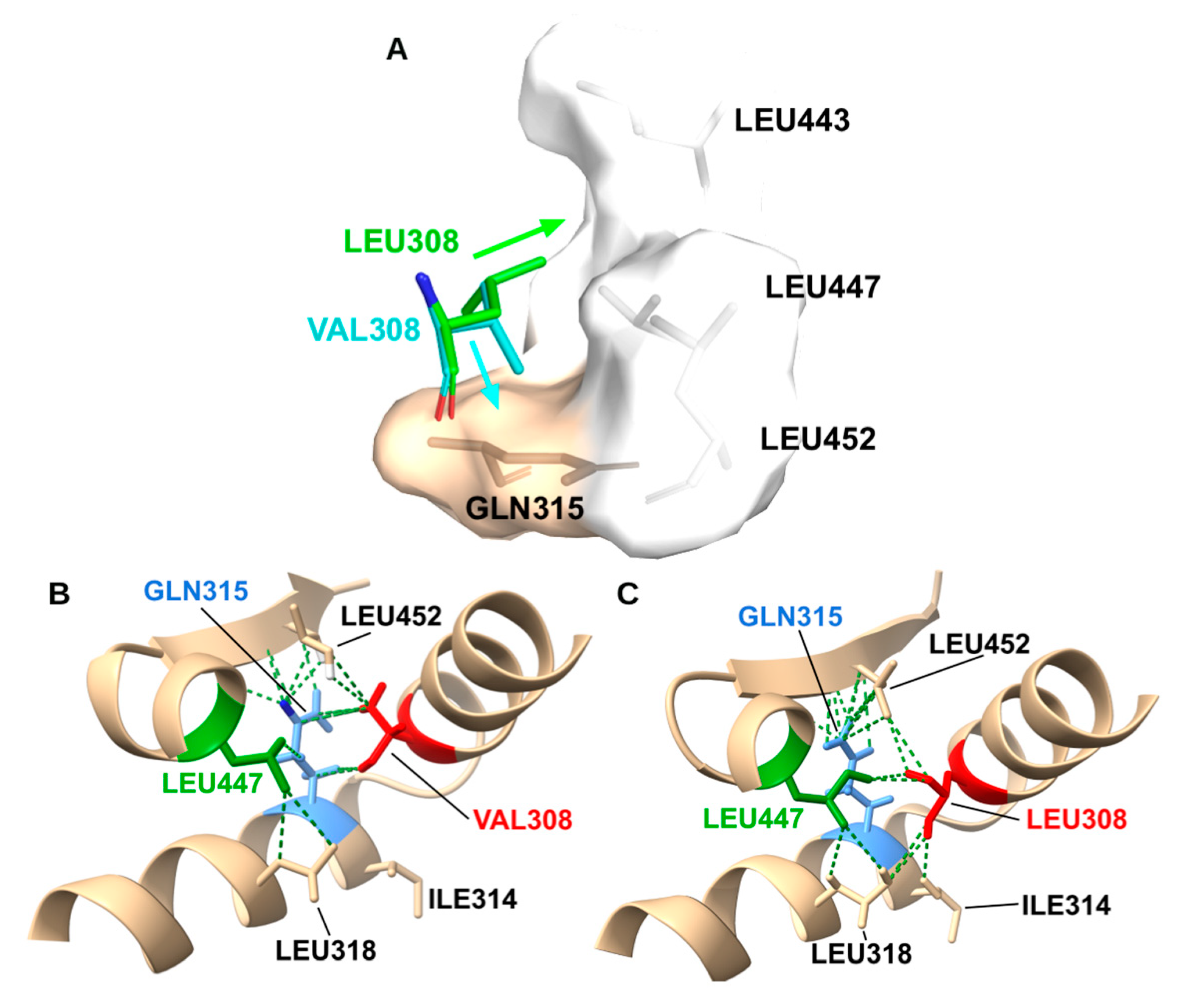 Preprints 193238 g011