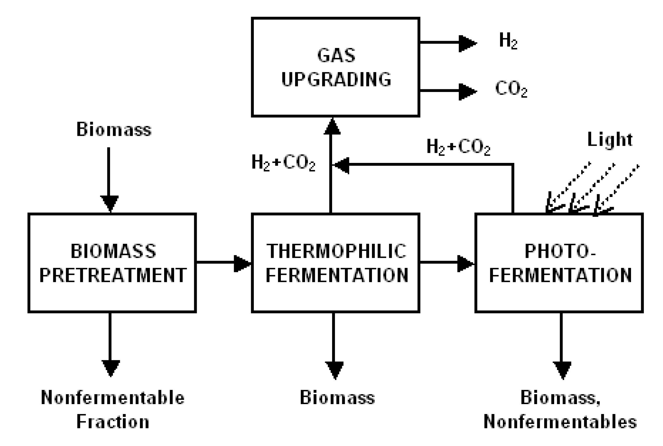 Preprints 151074 g007