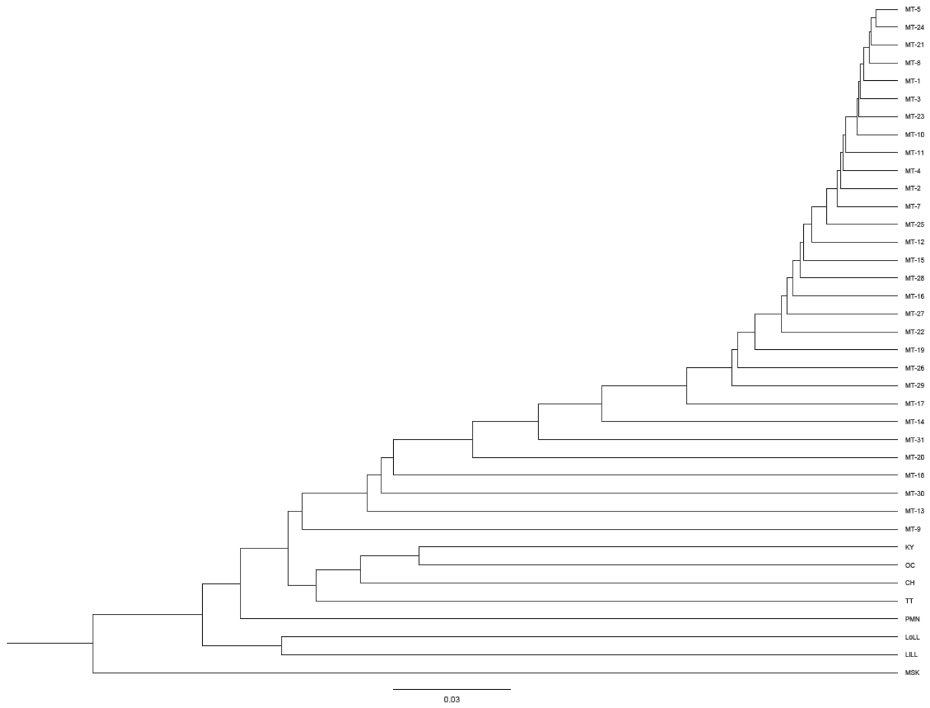 Preprints 217133 g004