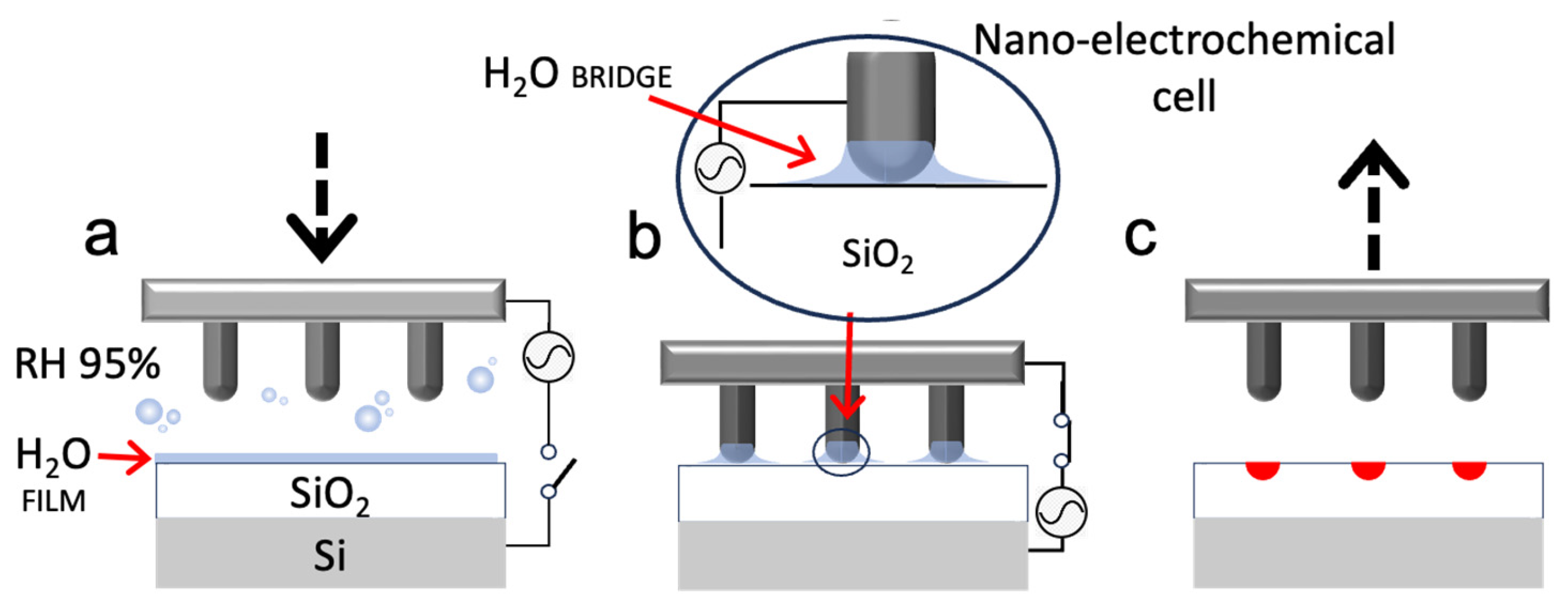 Preprints 188894 g001