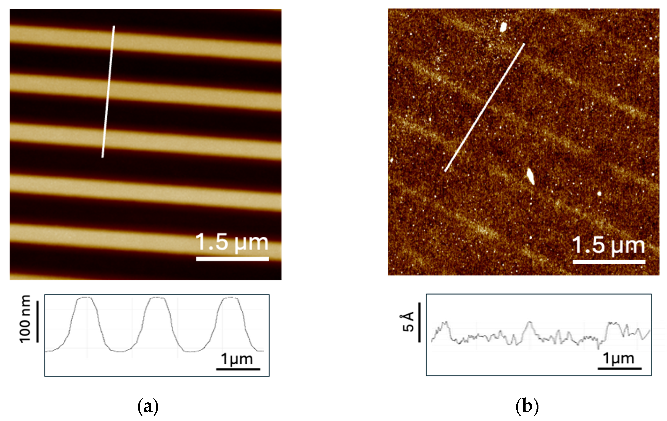 Preprints 188894 g002