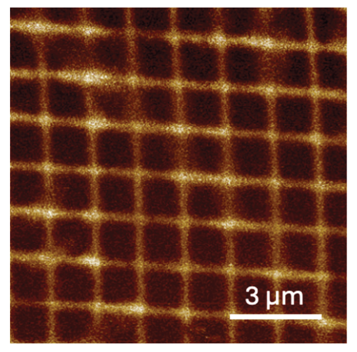 Preprints 188894 g005