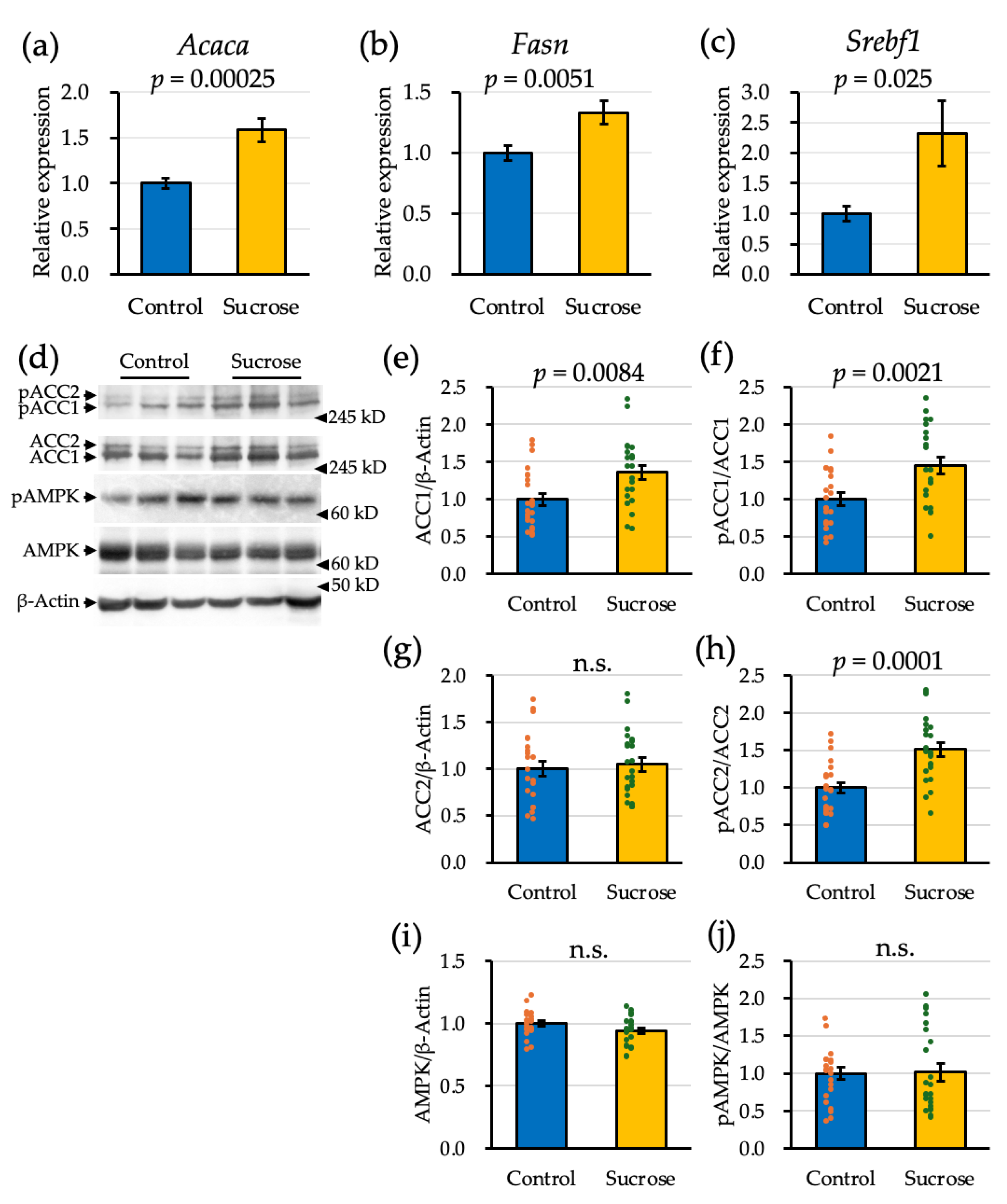Preprints 236417 g003 Preprints 236417 g003