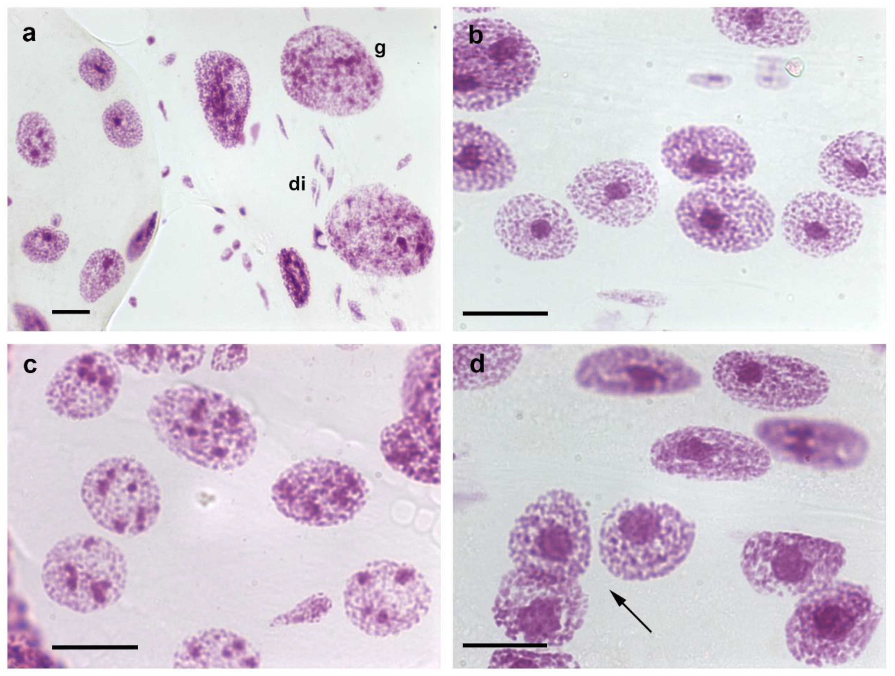 Preprints 79700 g001