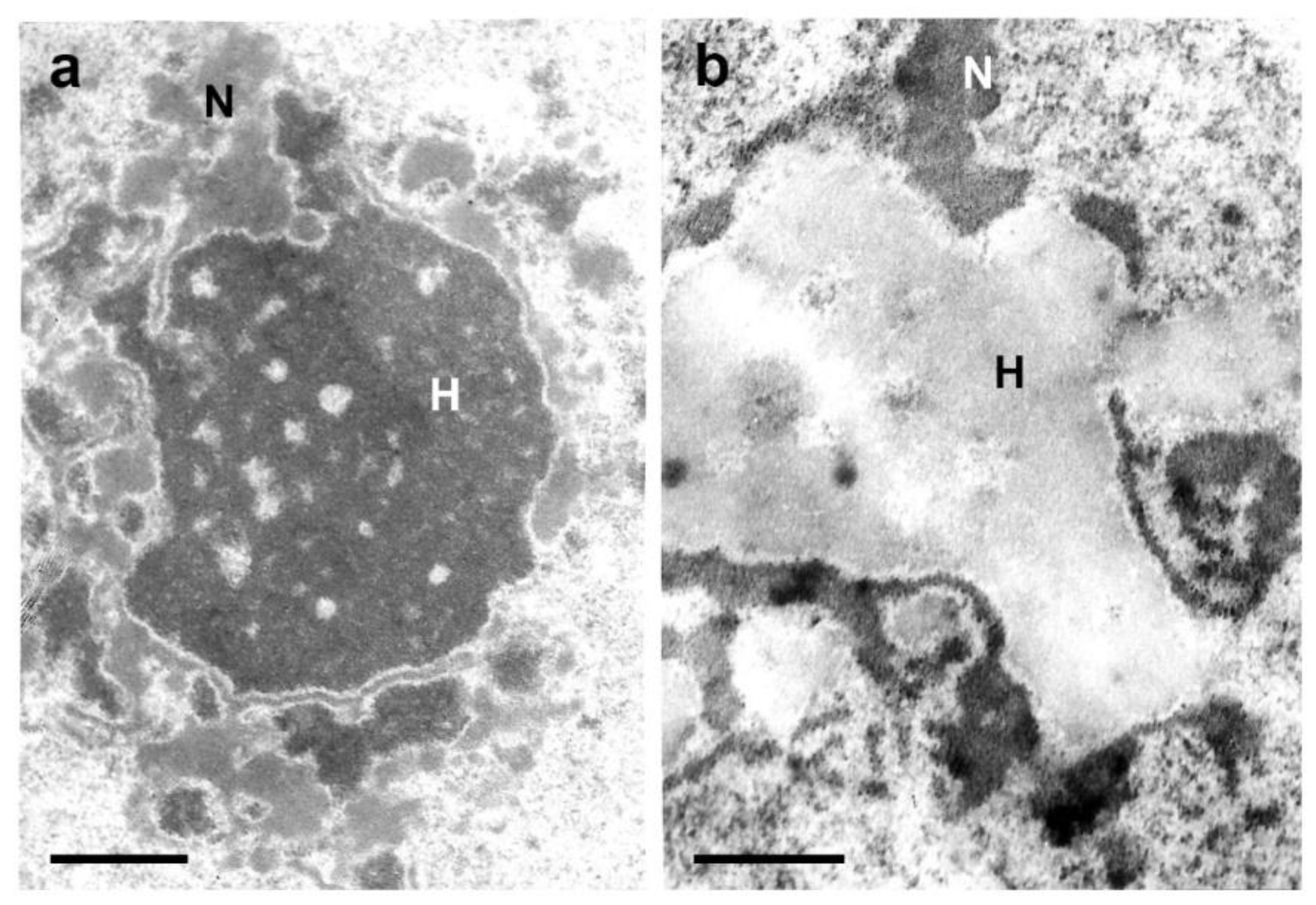 Preprints 79700 g002