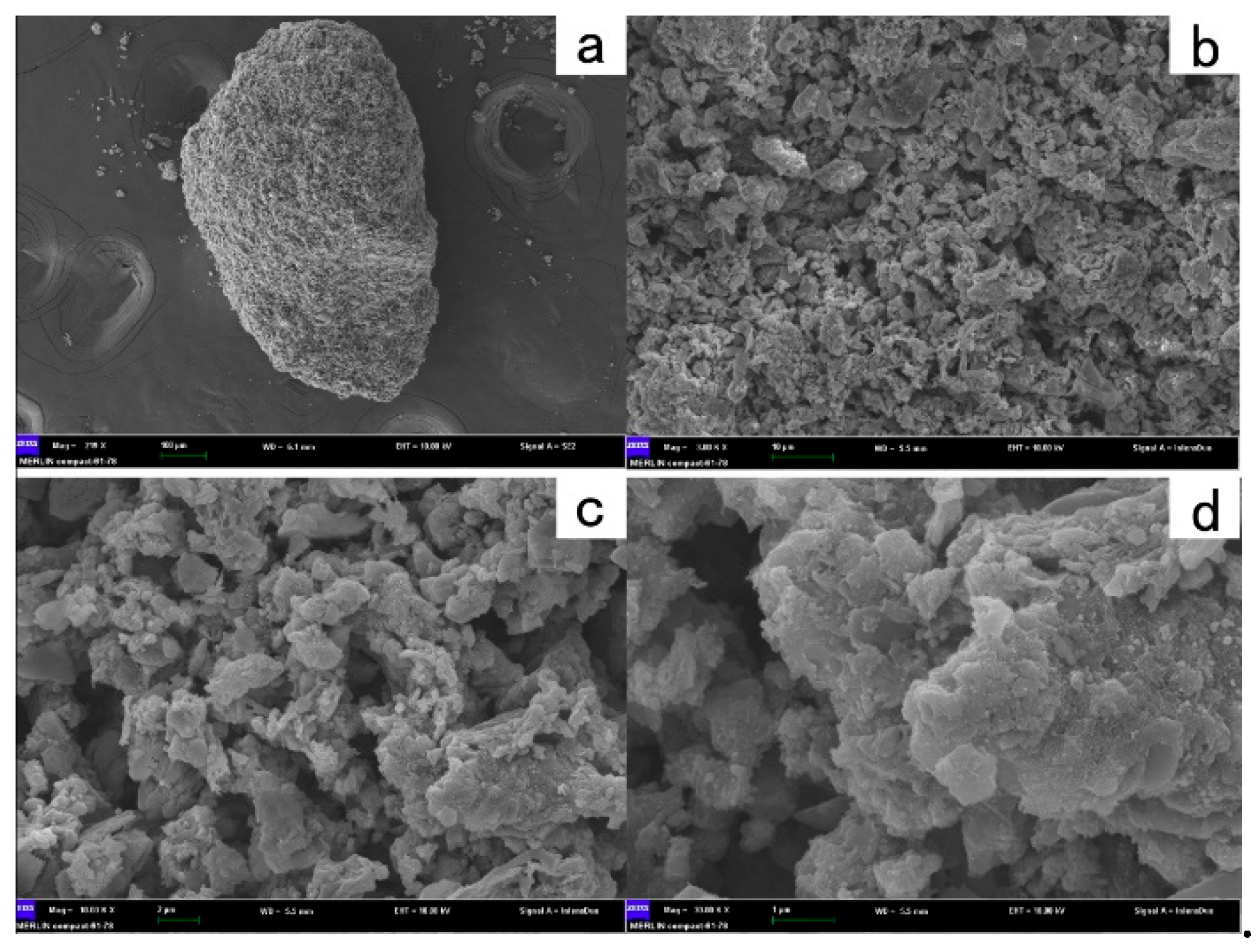Preprints 143914 g005