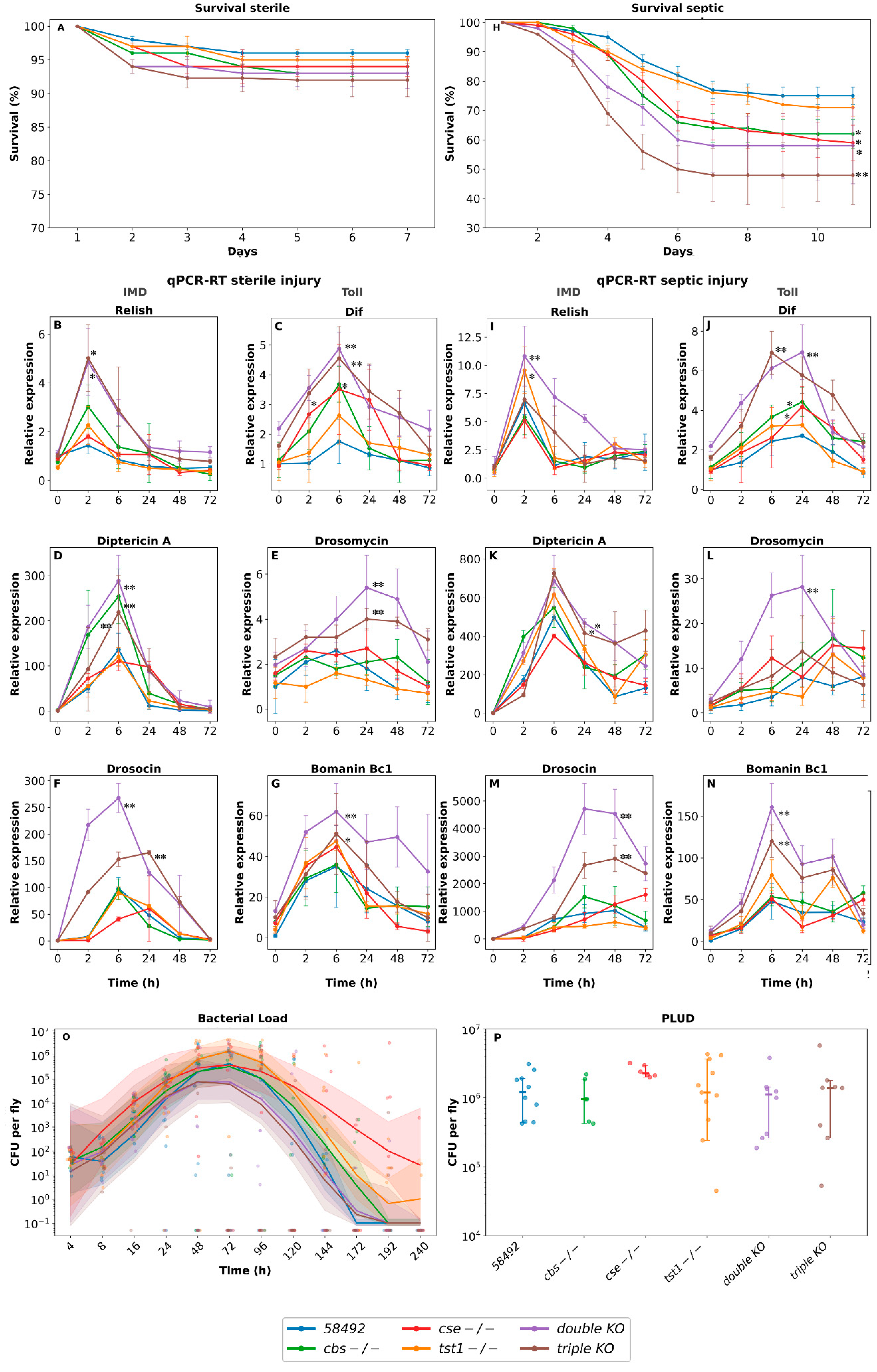 Preprints 218714 g001 Preprints 218714 g001