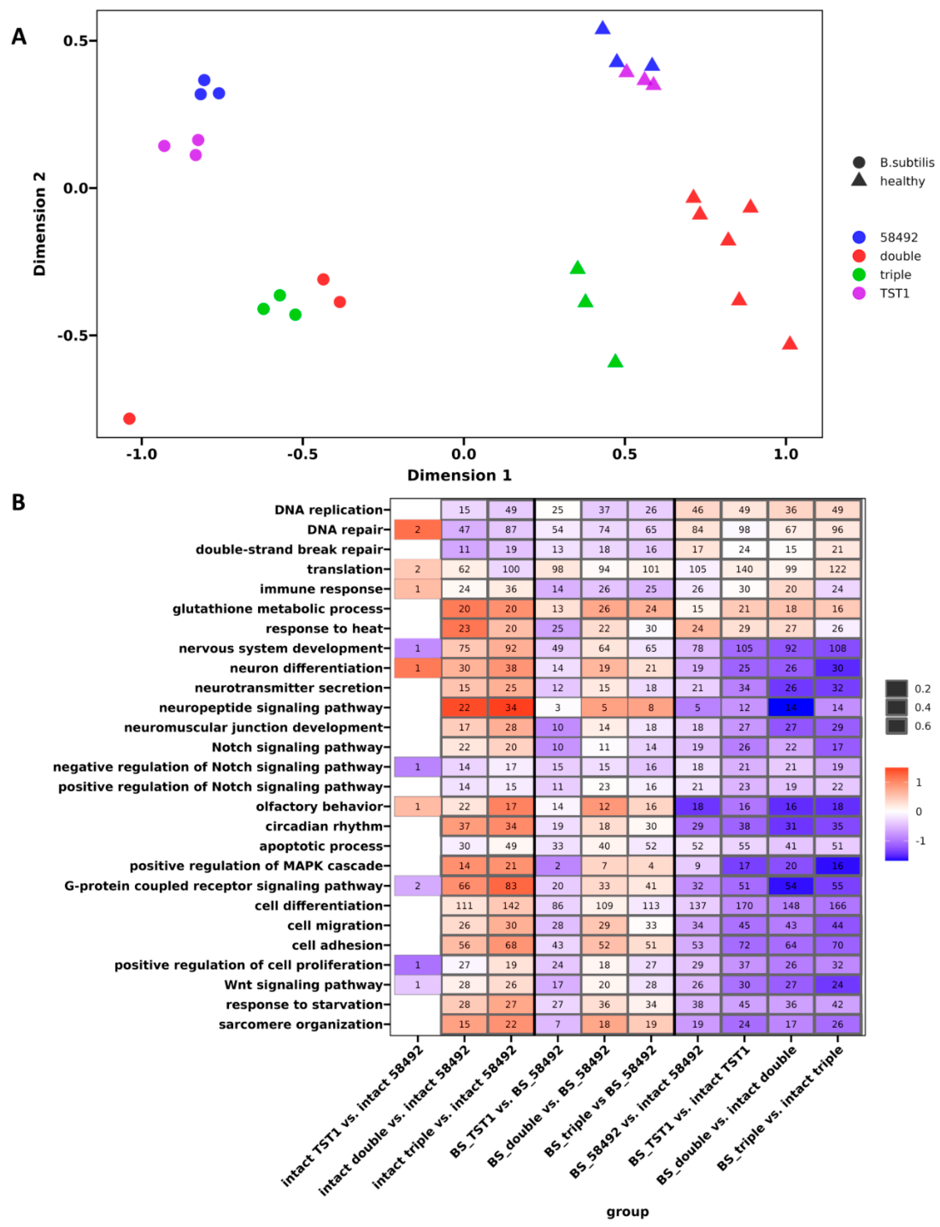 Preprints 218714 g002 Preprints 218714 g002