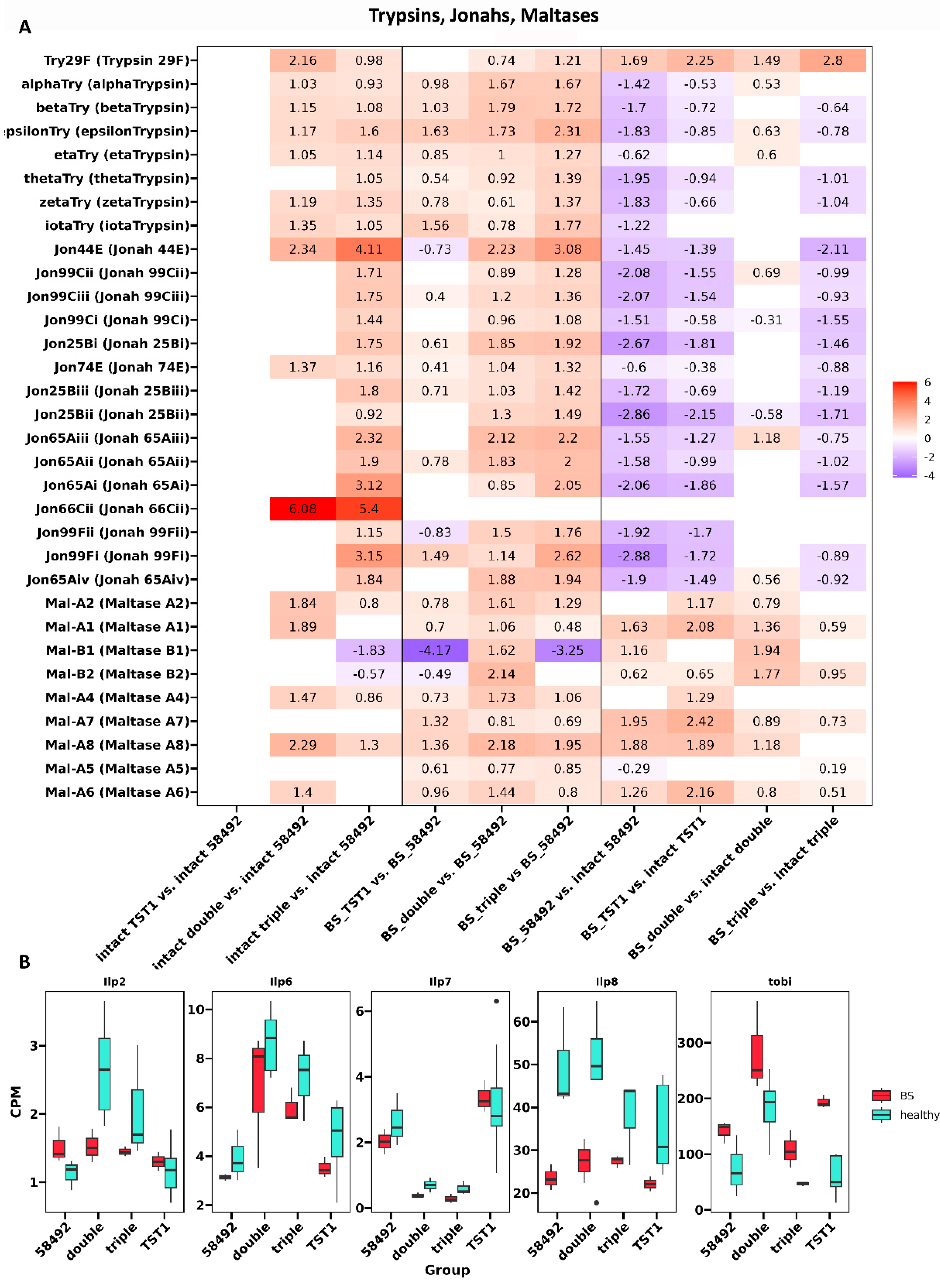 Preprints 218714 g005 Preprints 218714 g005